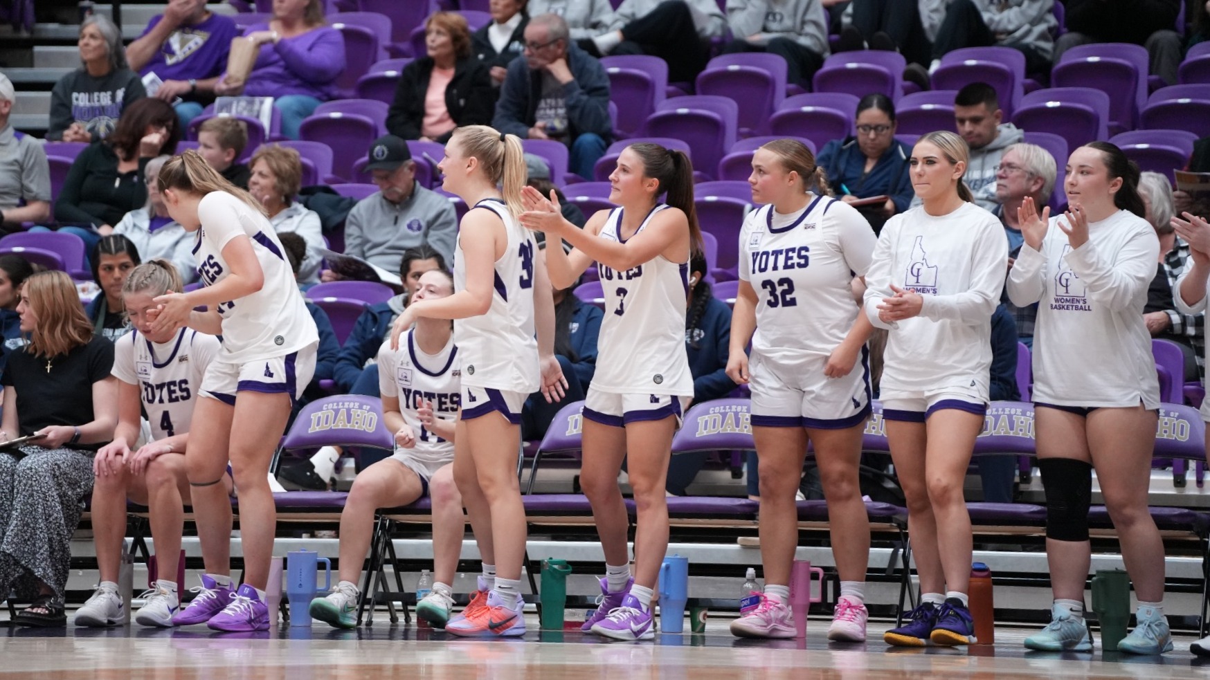 Yotes bench cheering
