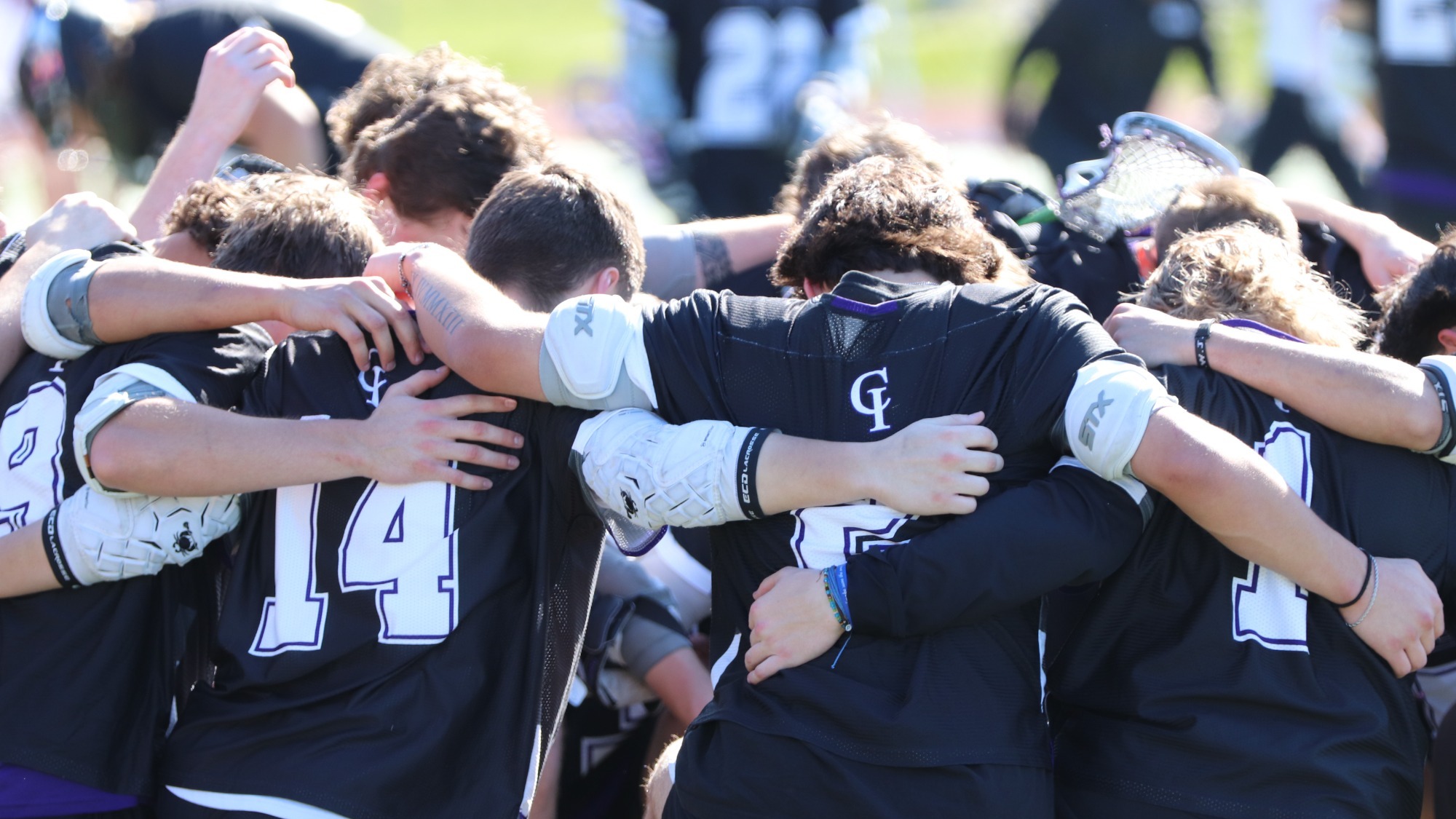 Yotes in a huddle