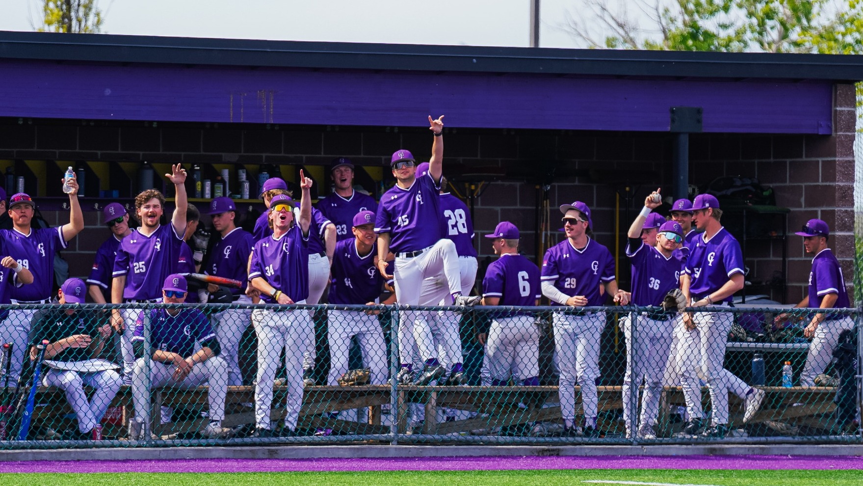 Yotes celebrating in dugout