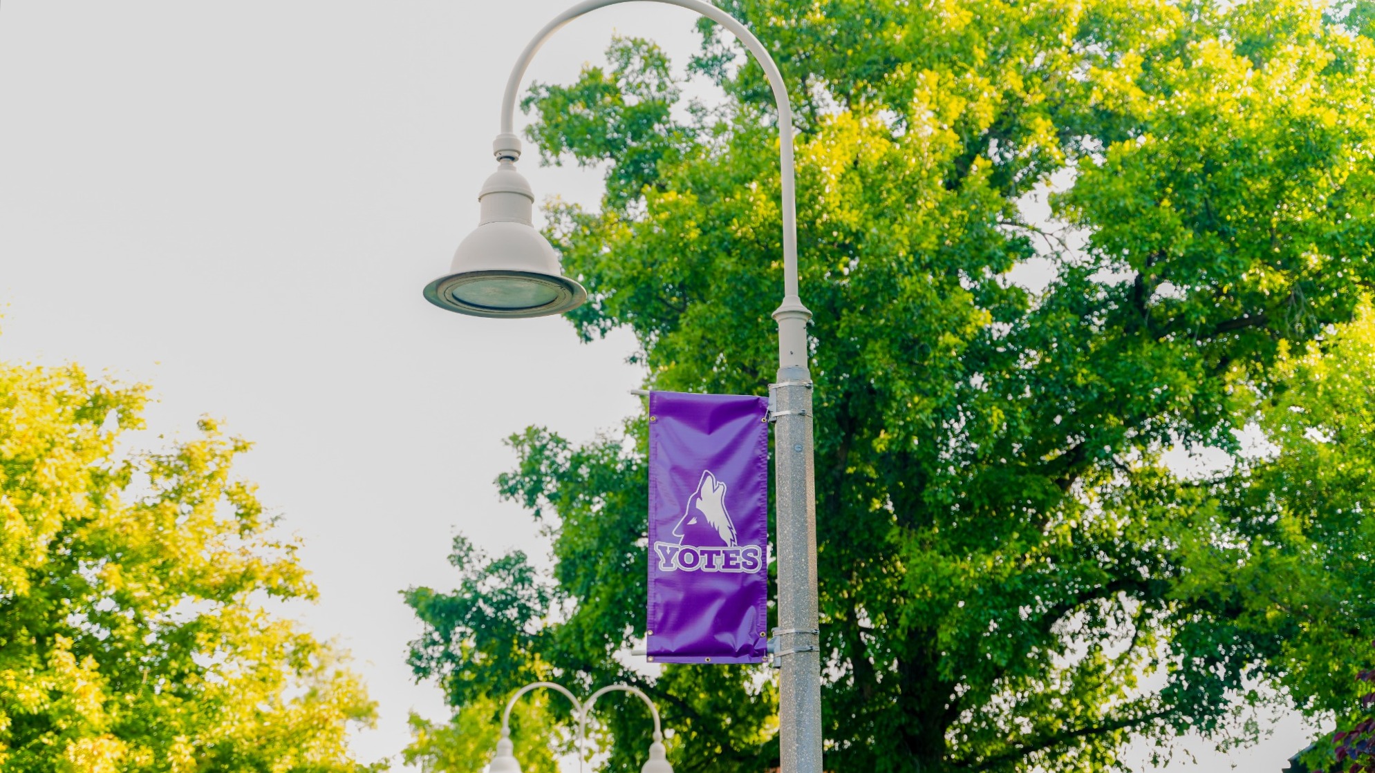 campus