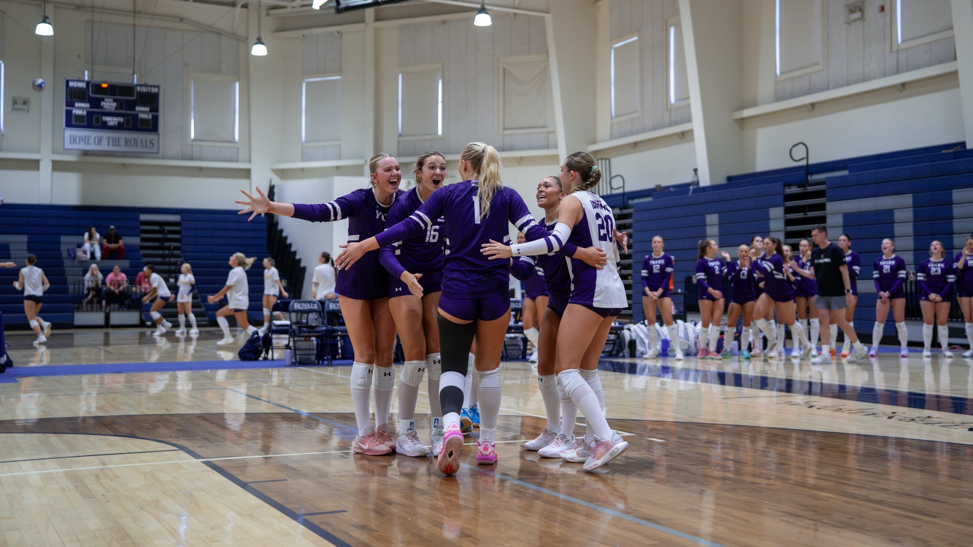 celly