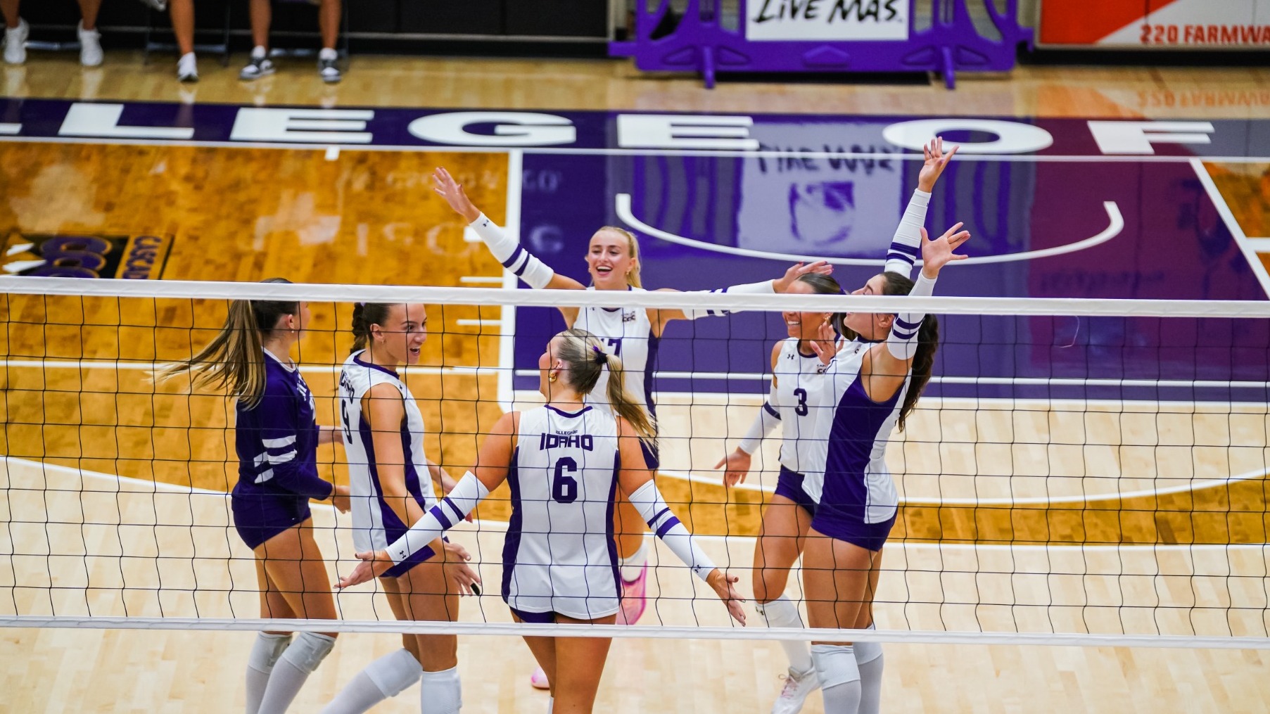 Yotes Celebrating a Point