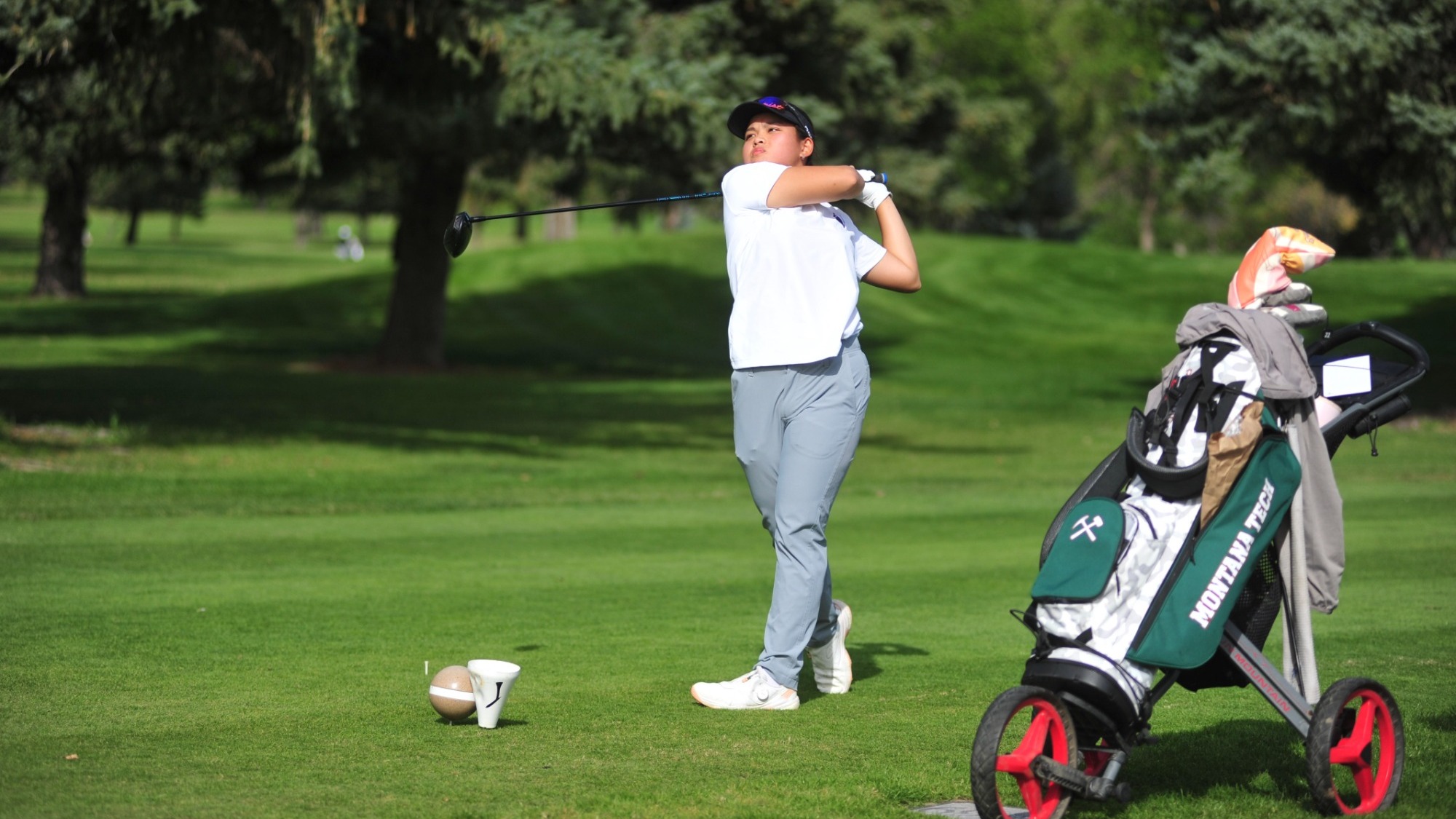 Inkjung golfing