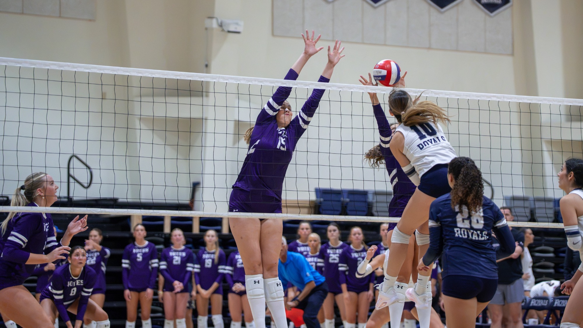 Yotes block the attack