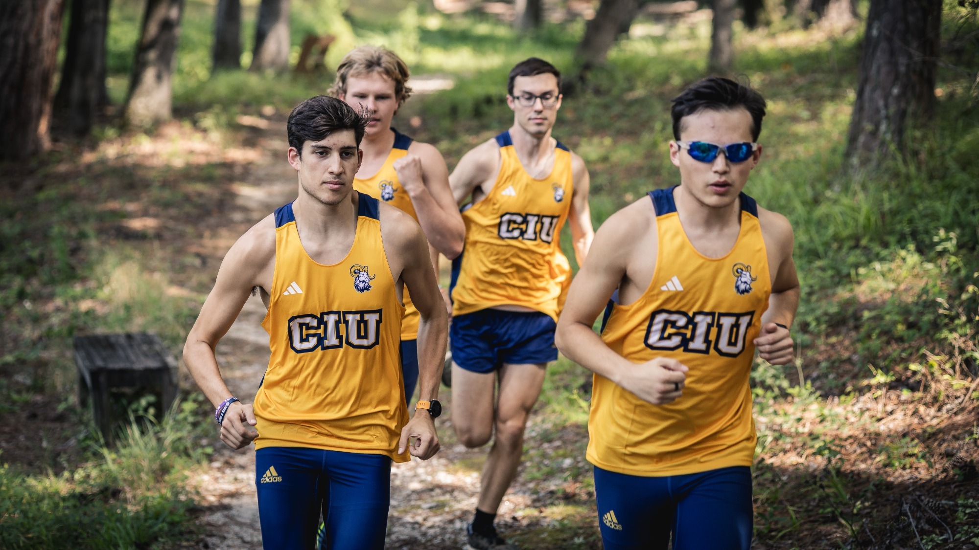 Men's Crpss Country runs 