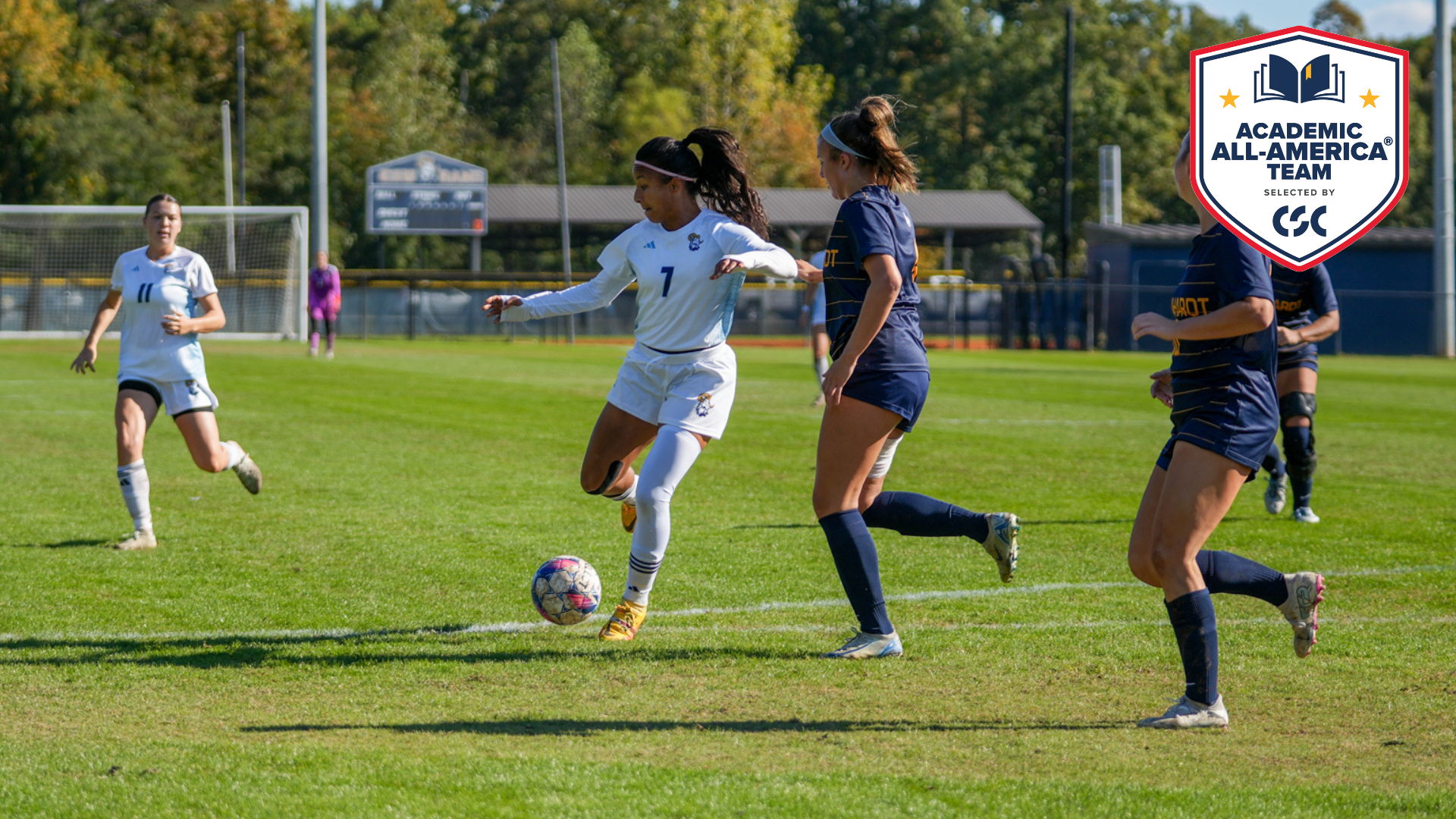 Lo recives CSC All-American