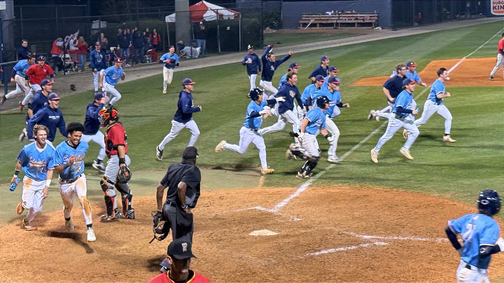 Baseball Celebration