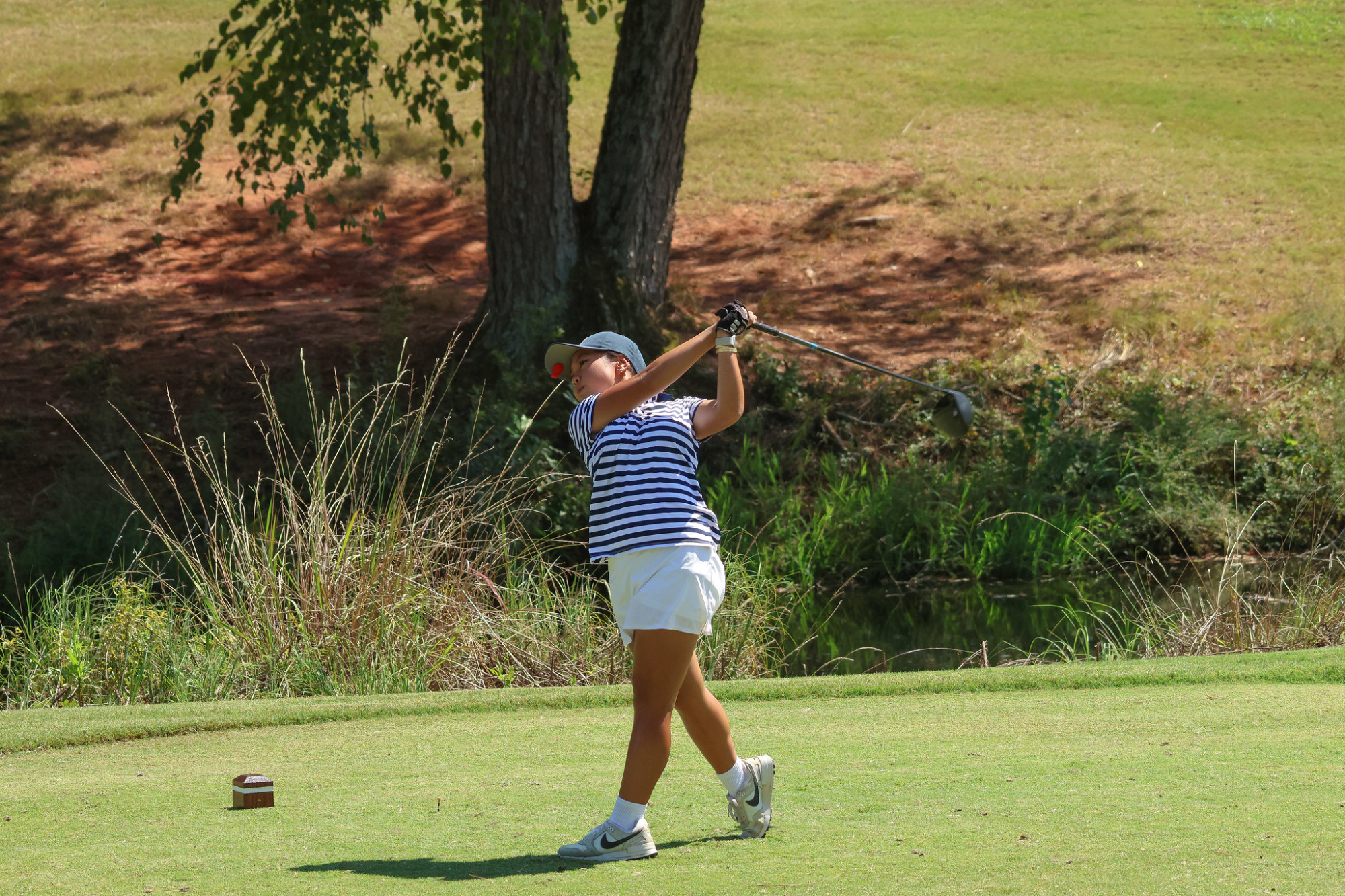 WGolf-Lander