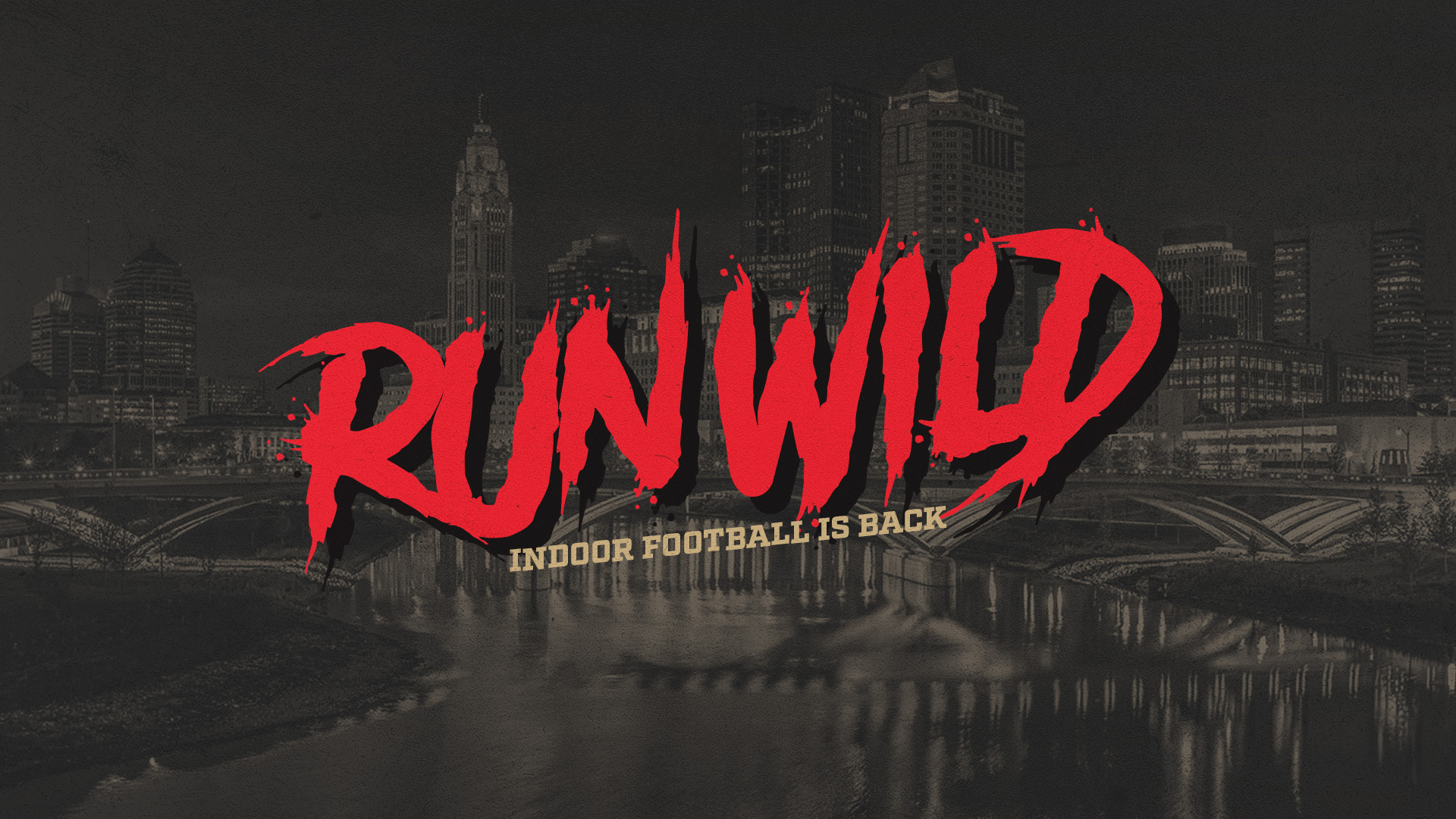 Run Wild Indoor Football