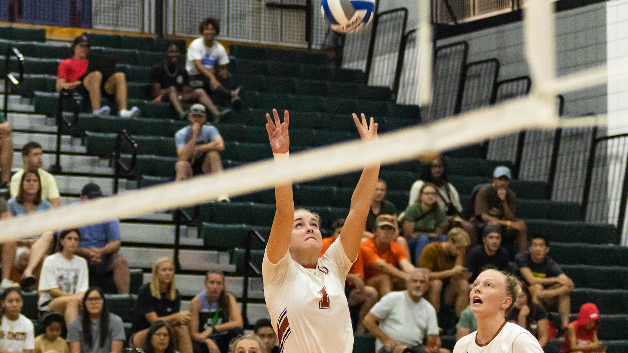 Izzy Sundquist Volleyball University of Texas at Dallas Athletics