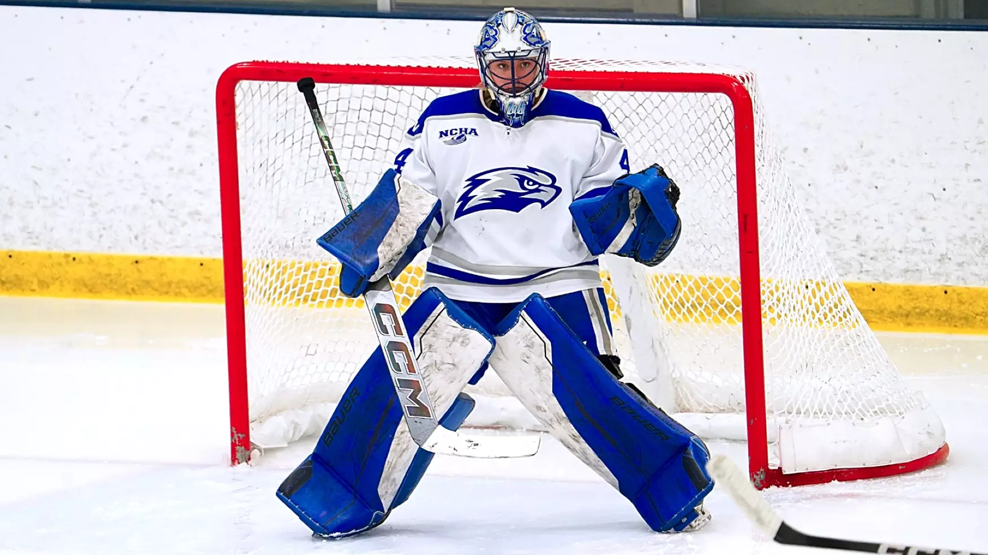 Gretchen Paaverud in the net.