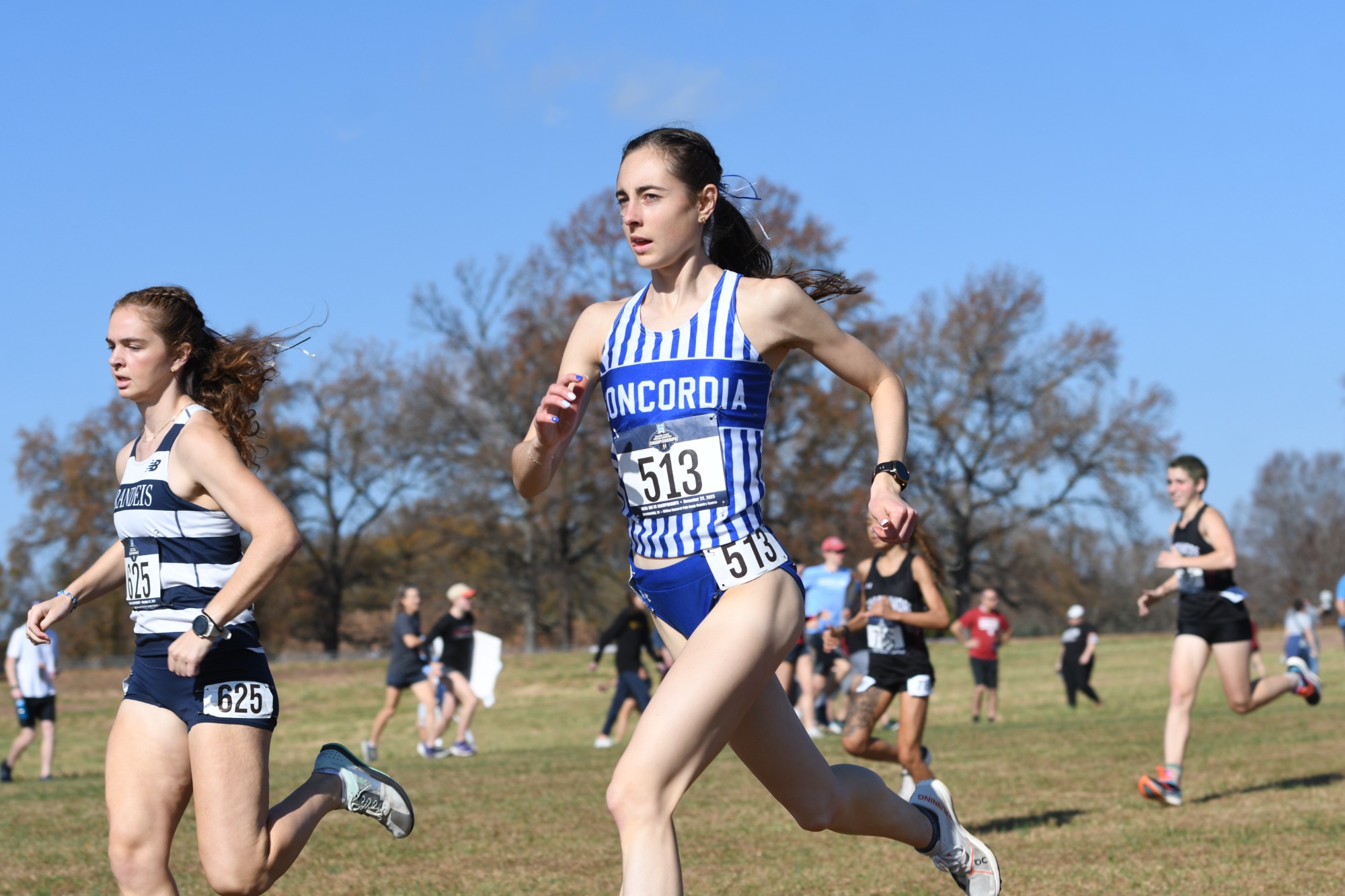 WXC NCAA Championship 11/22/25