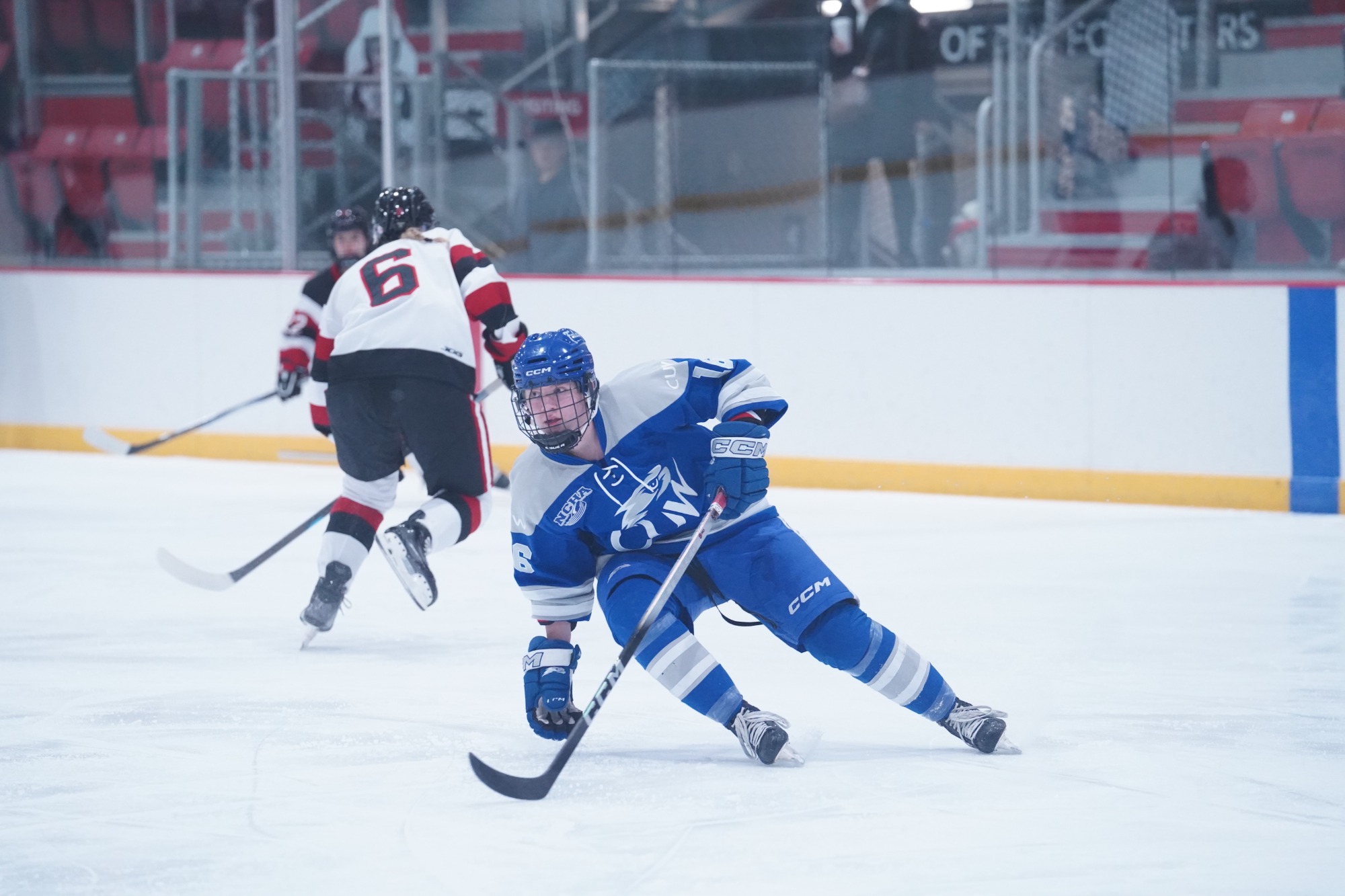 Women's Hockey at Lake Forest (012726)