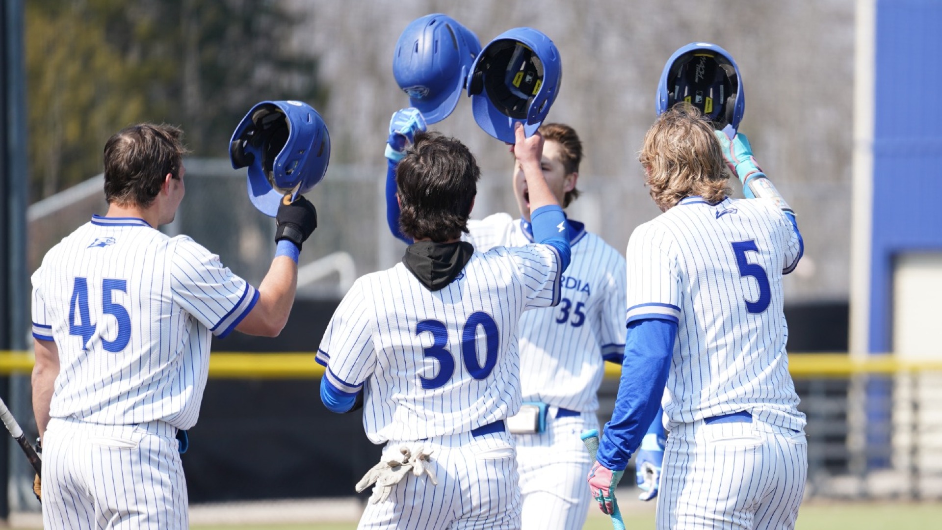 A group shot of the CUW baseball team at the plate.