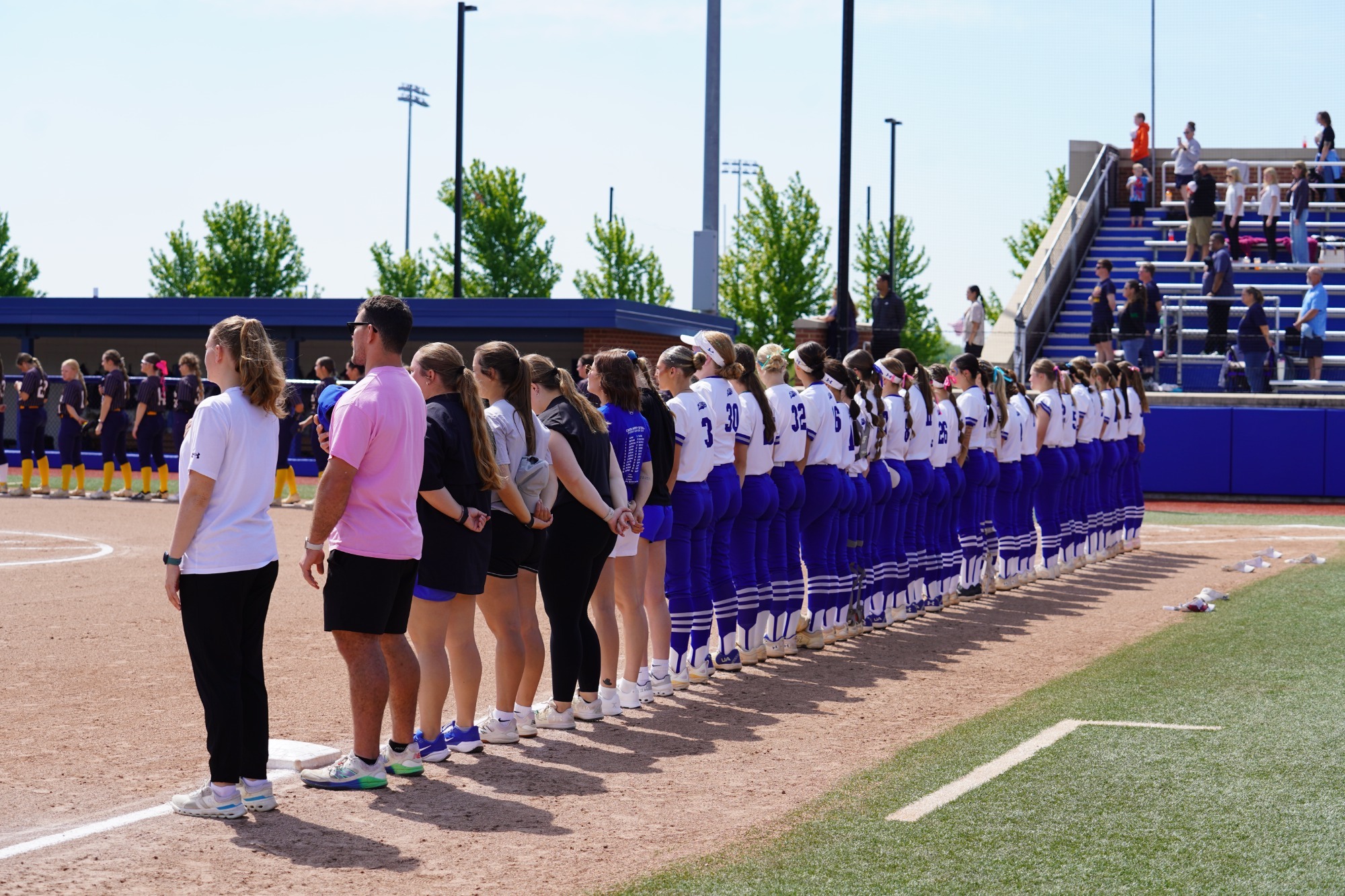 softball at the anthem