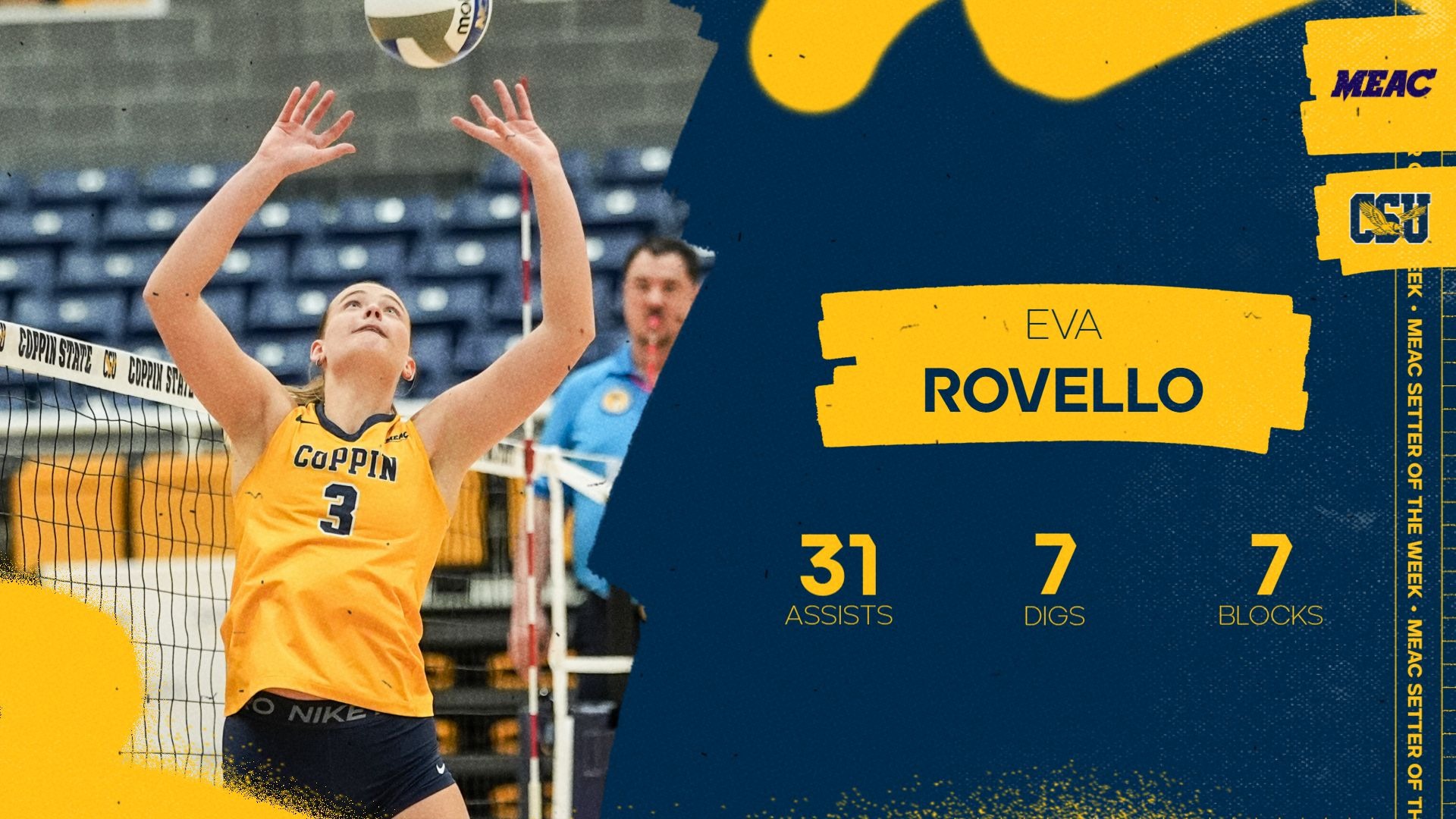 Rovello Setter of the Week 102626
