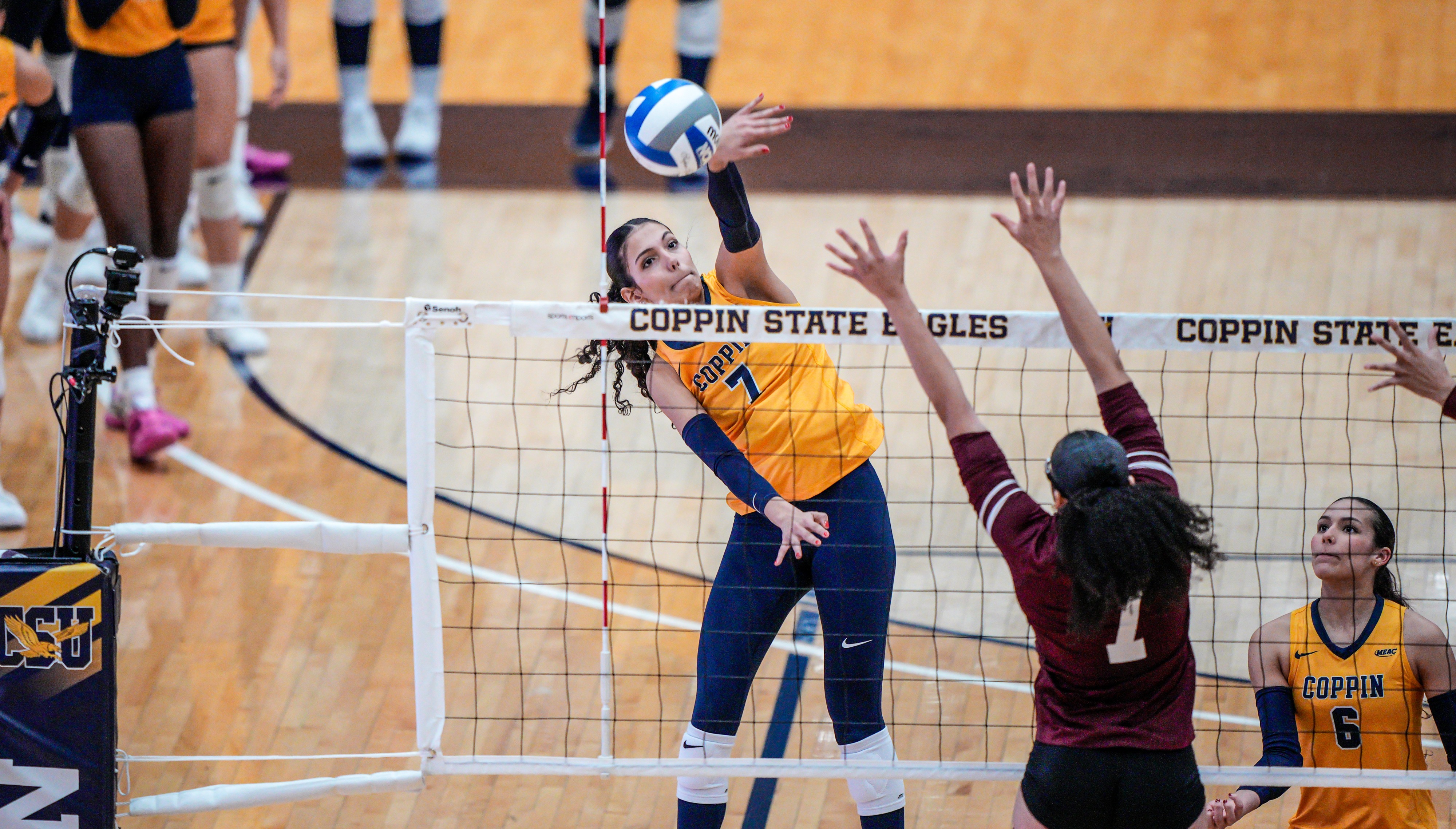 Coppin State Eagles vs UMES - Volleyball  11/7/25  Photo by: Timothy Rice/TagTheShooter Photography