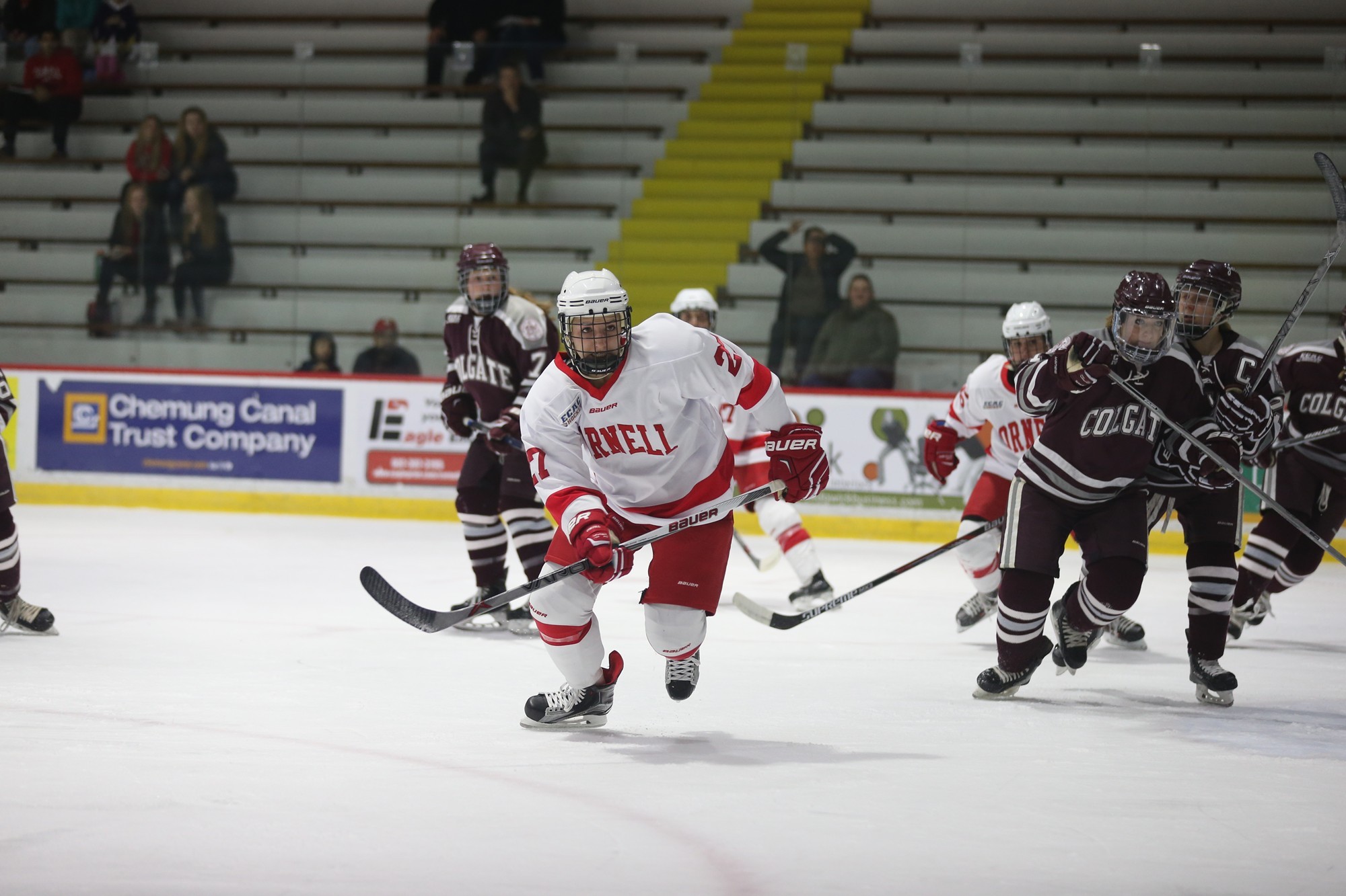 Christian Higham 201516 Women's Ice Hockey Cornell University