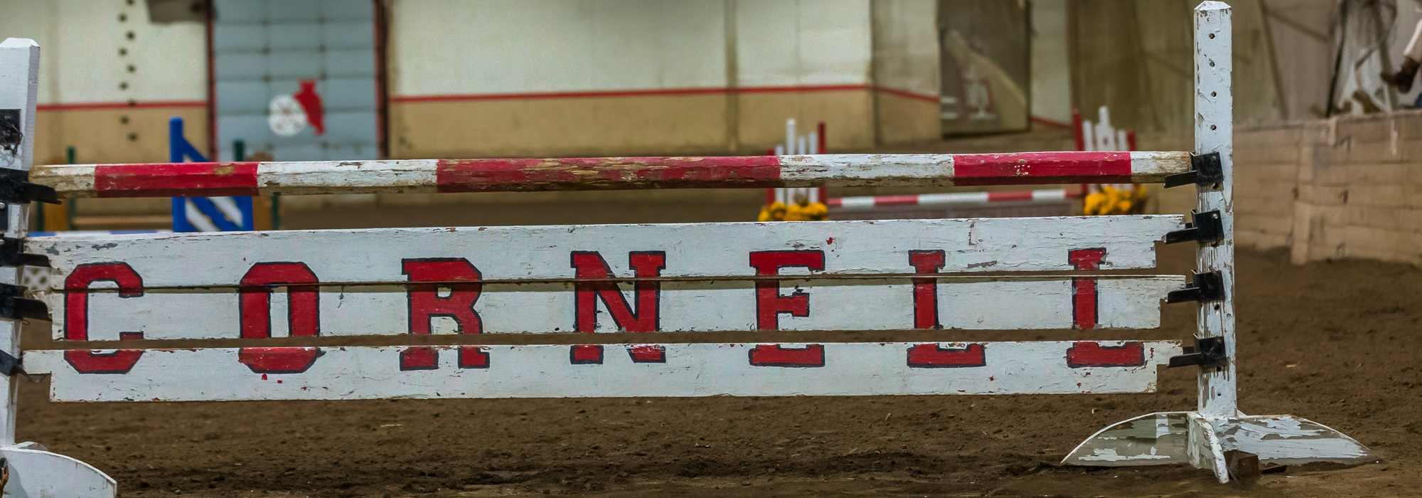 Equestrian Wins Ivy League Show Cornell University Athletics