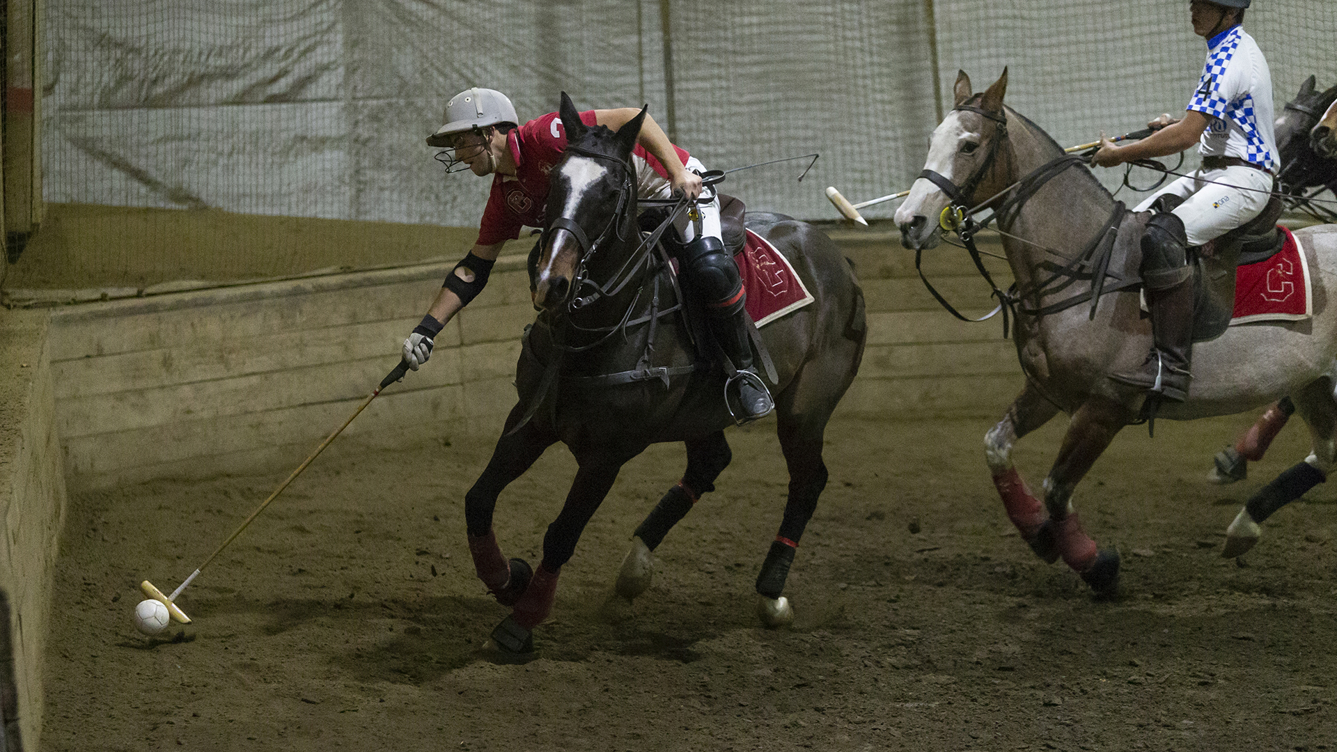 Polo Teams Close Season In National Semifinals Cornell University Athletics