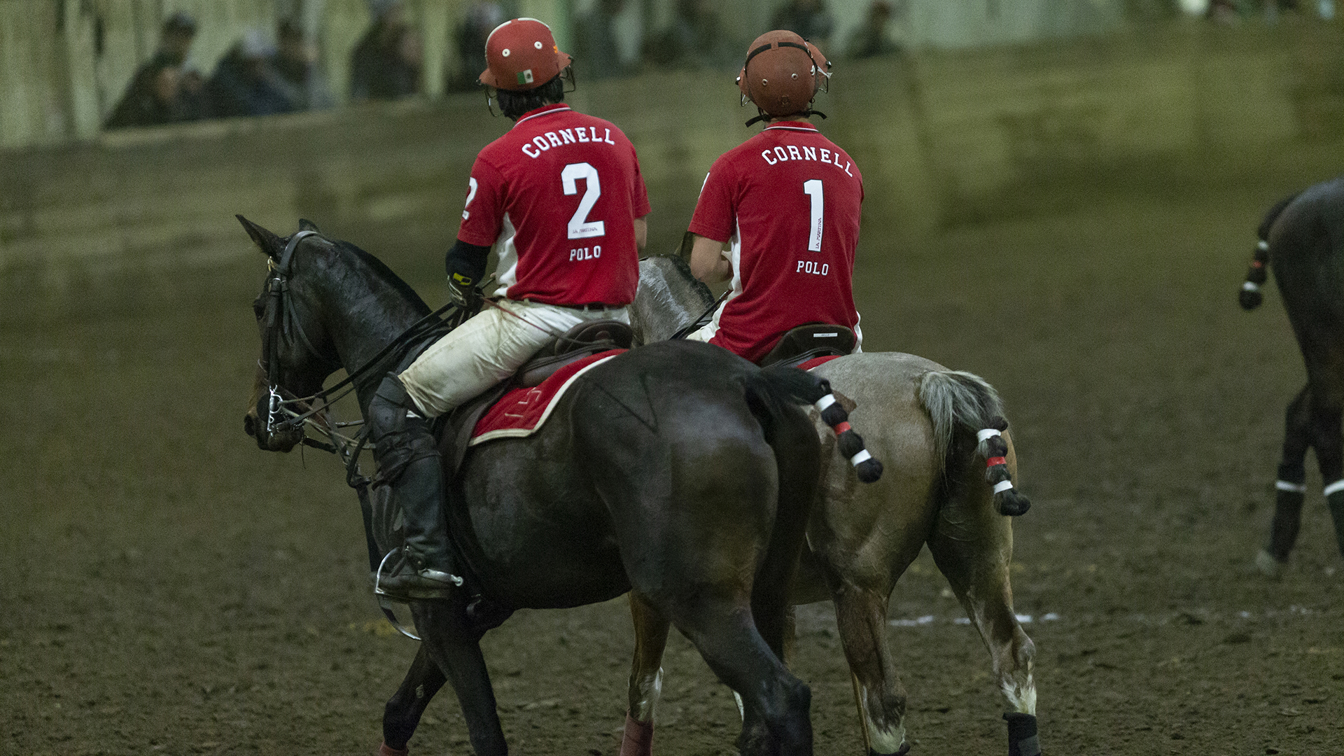 Polo Teams Head To Virginia For Nationals Cornell University Athletics