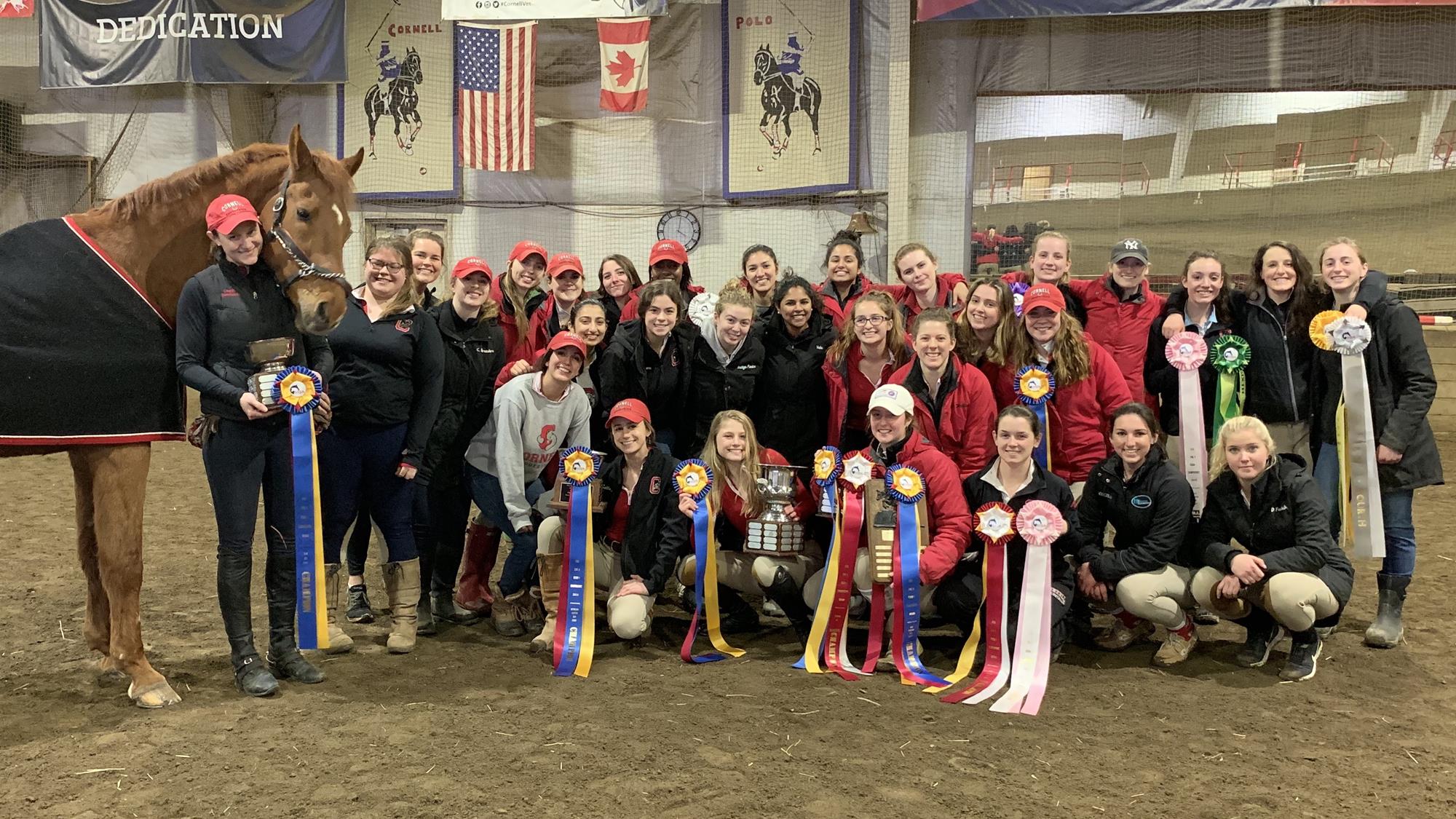 Equestrian Named Regional Champions Cornell University Athletics