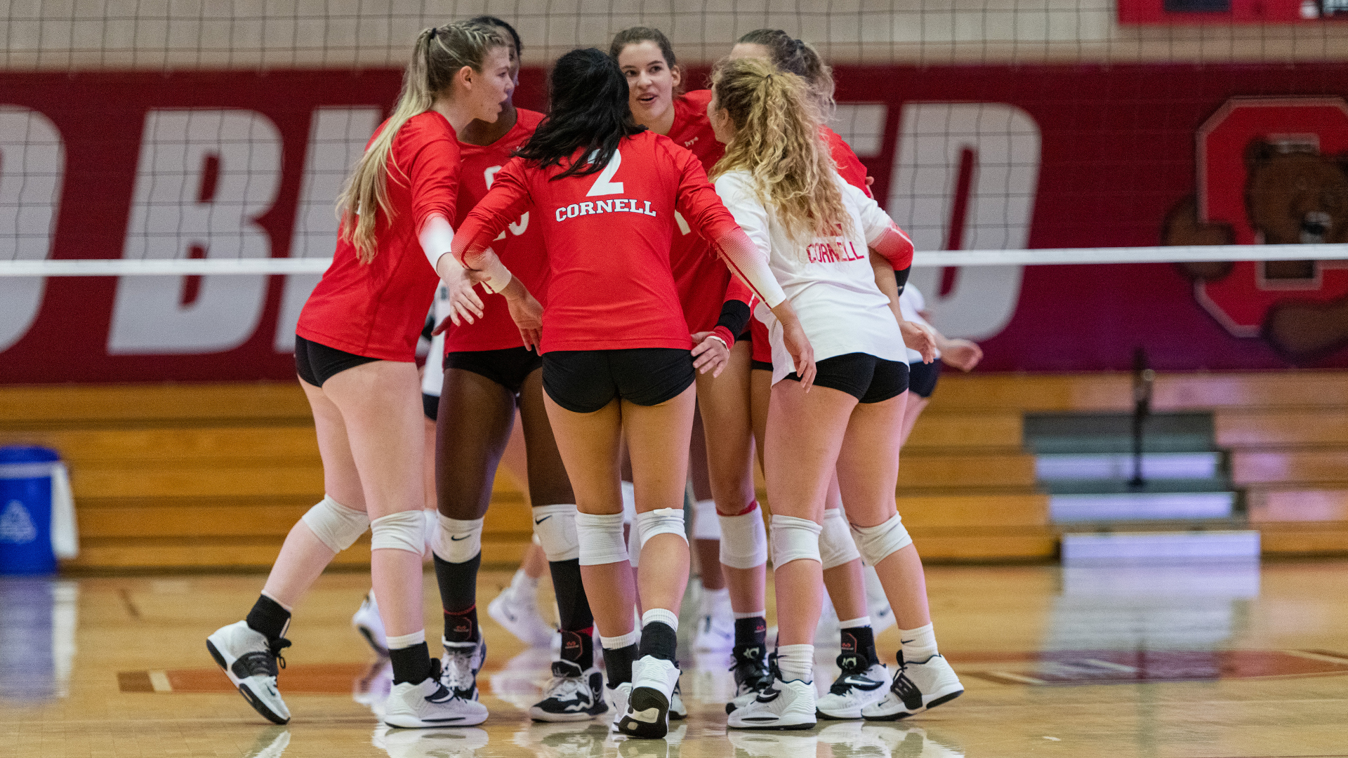 Volleyball Falls to Top of the League Yale, Brown On Deck Cornell