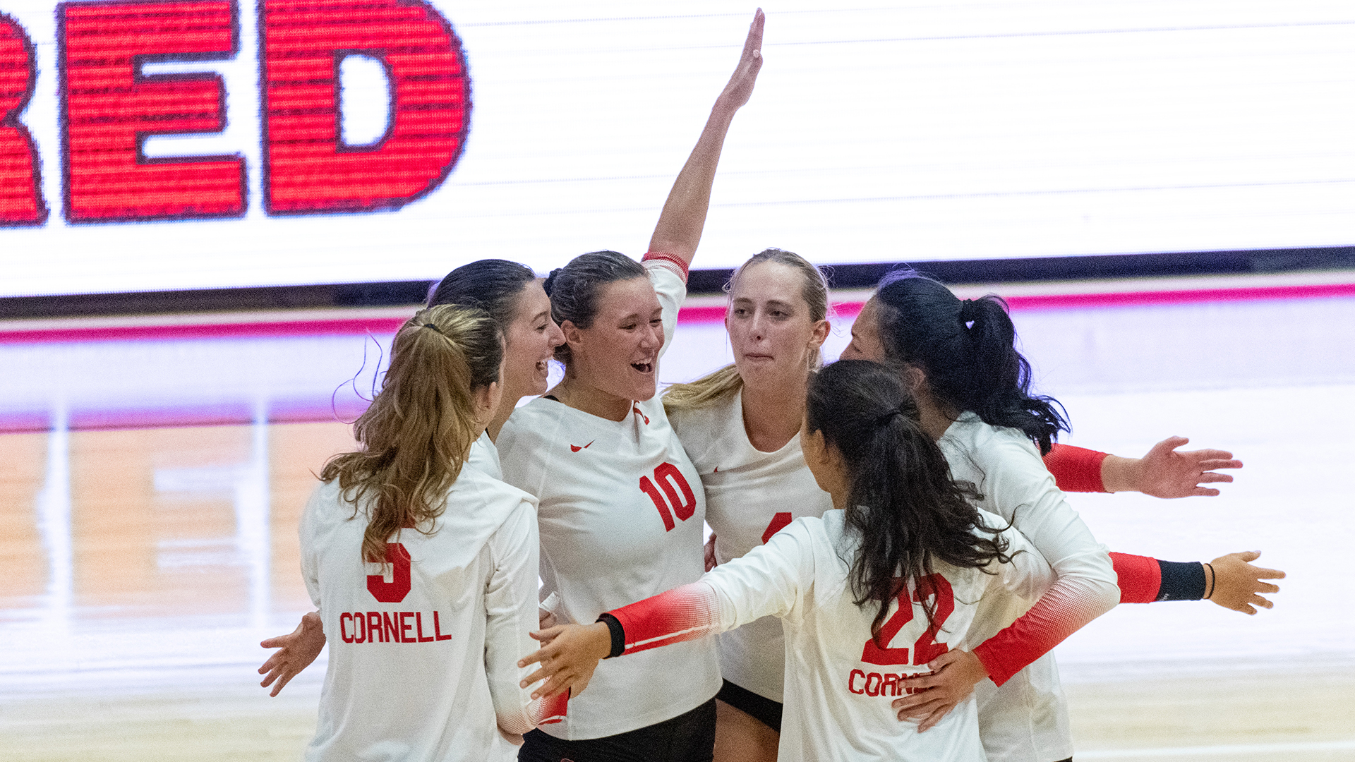 Volleyball Takes Down Harvard On The Road, 31 Cornell University