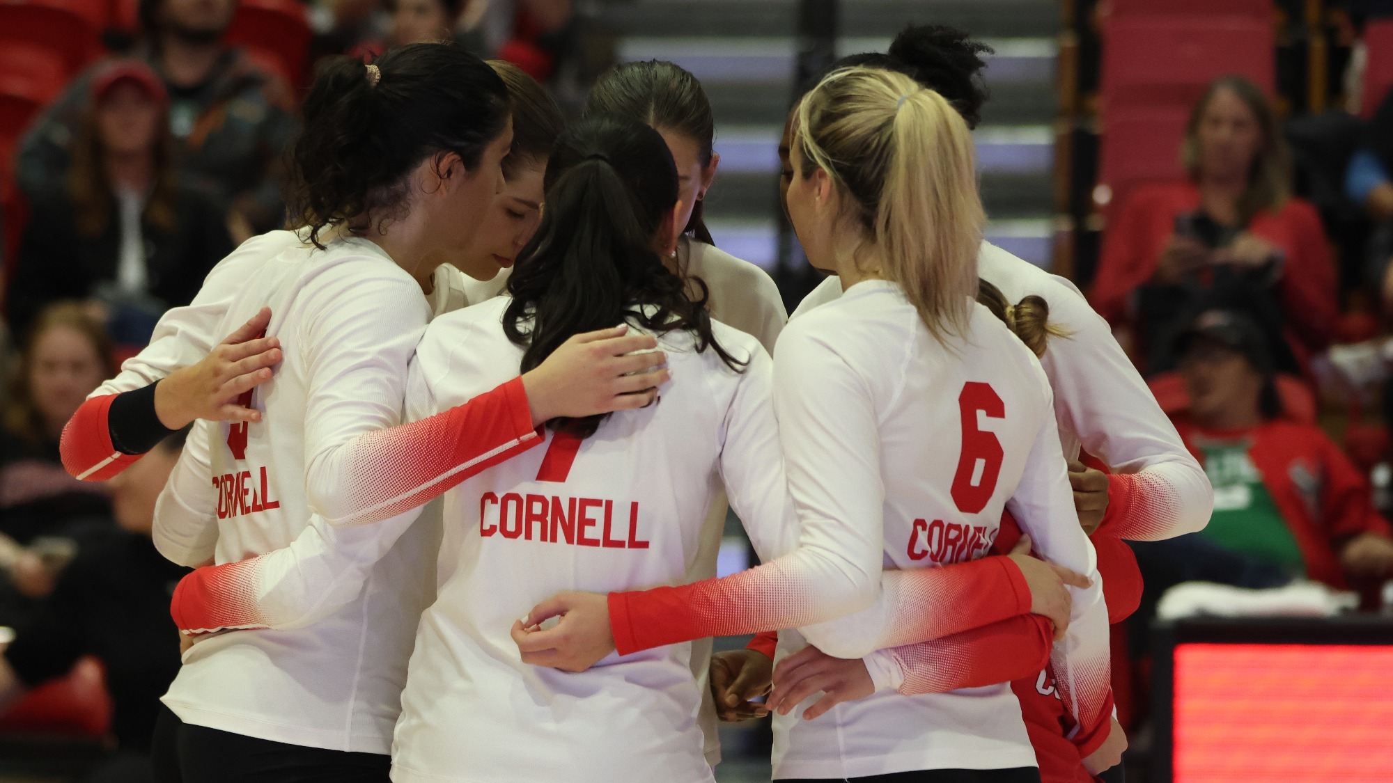Volleyball Wins Opening Set, Falls to Yale in Four Cornell University