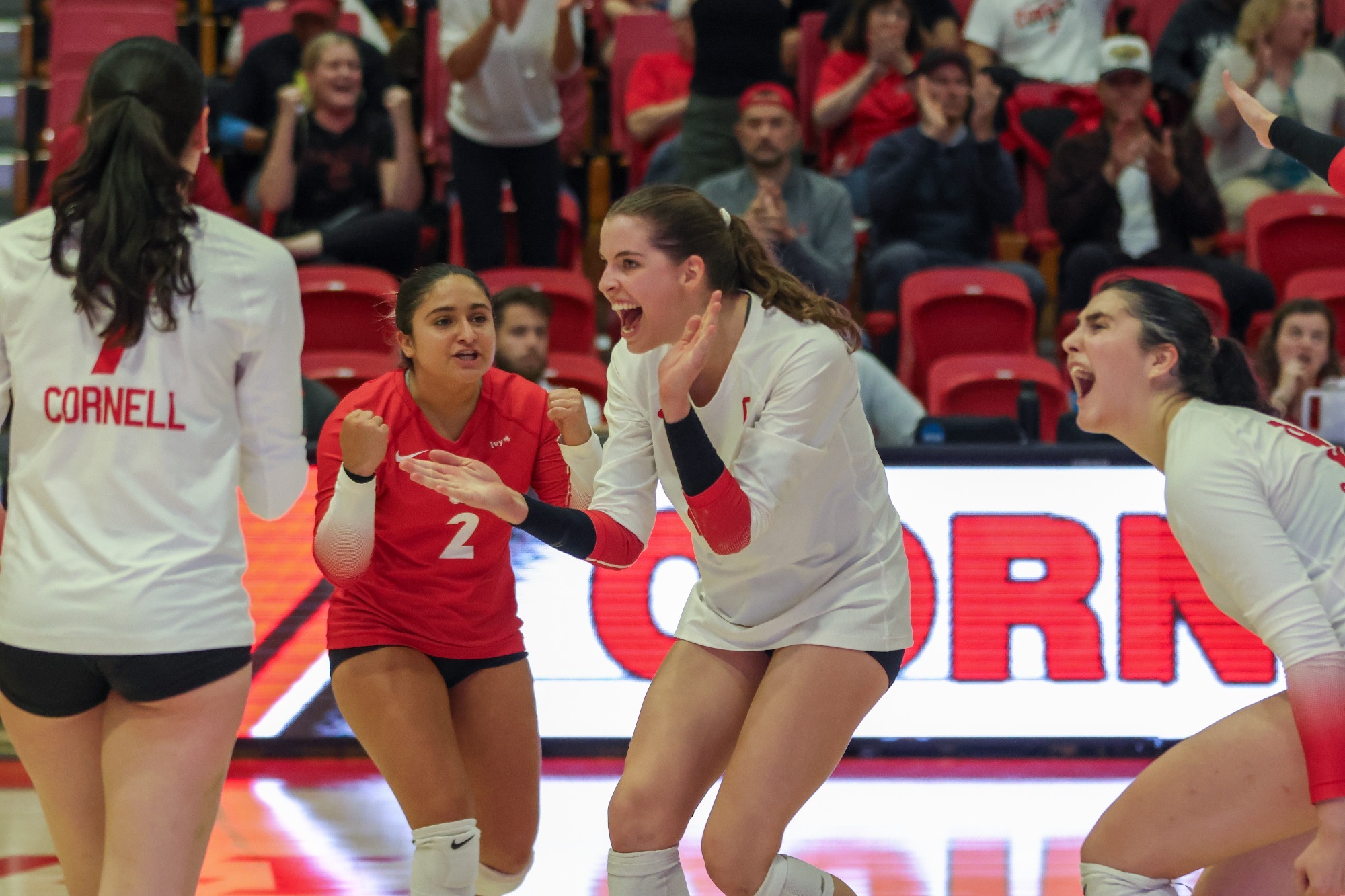 Eliza Konvicka 2024 Volleyball Cornell University Athletics