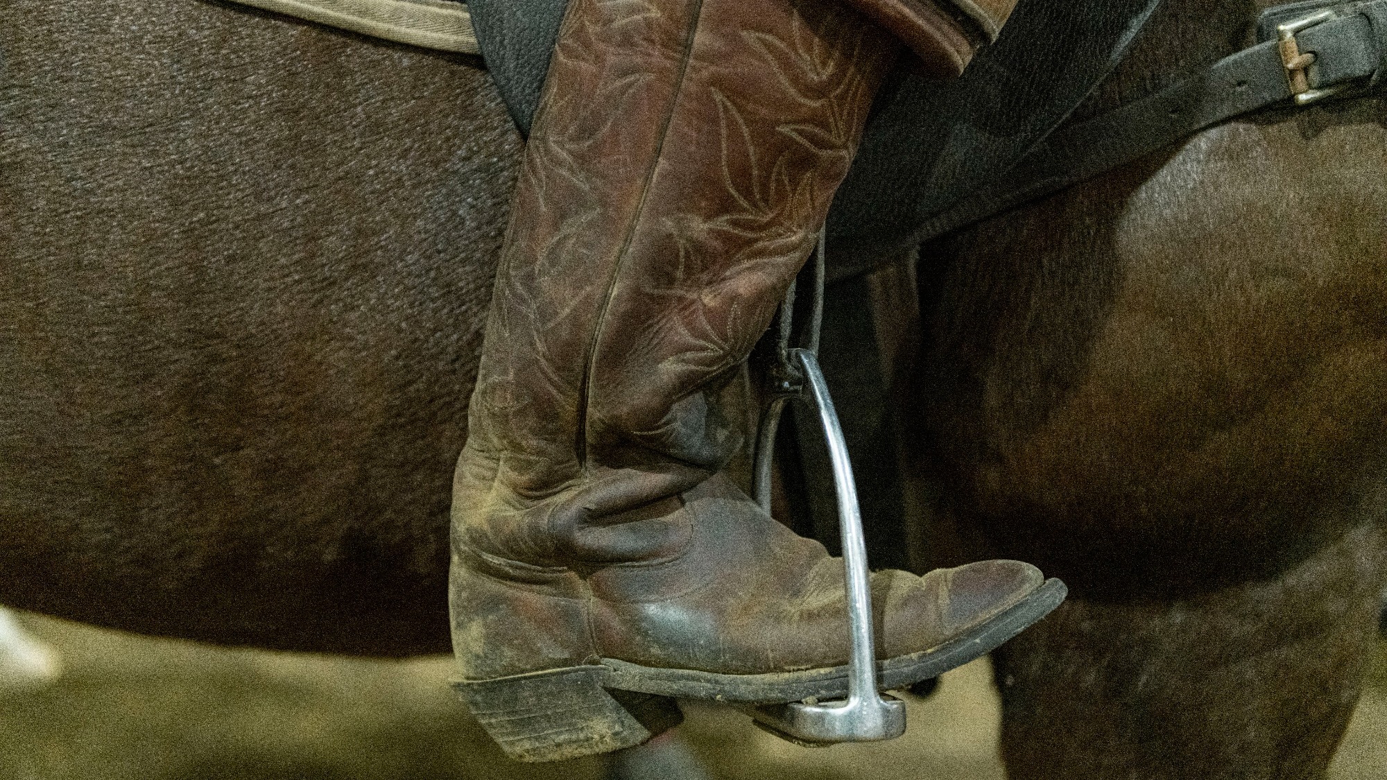 The Cornell Big Red women’s polo team competes against UCONN on Saturday, Nov. 13, 2021 in the Oxley Equestrian Center in Ithaca, NY.