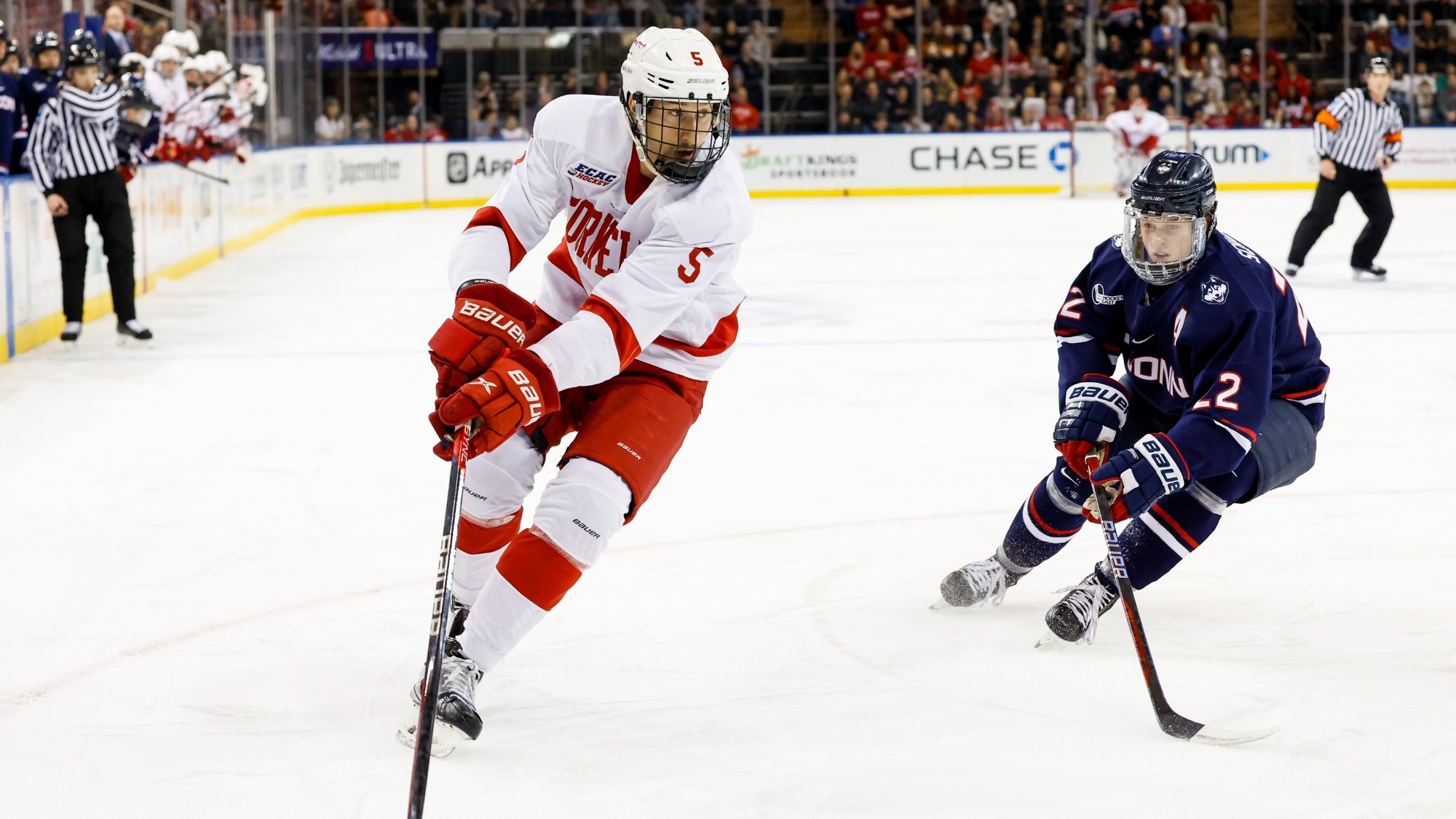 Sebastian Dirven 202223 Men's Ice Hockey Cornell University