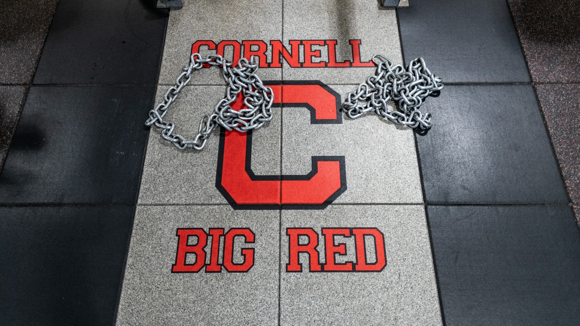 The Cornell Big Red football, volleyball and women's basketball teams workout in the Friedman Strength and Conditioning Center on Tuesday, Aug. 13, 2019 in Ithaca, NY.