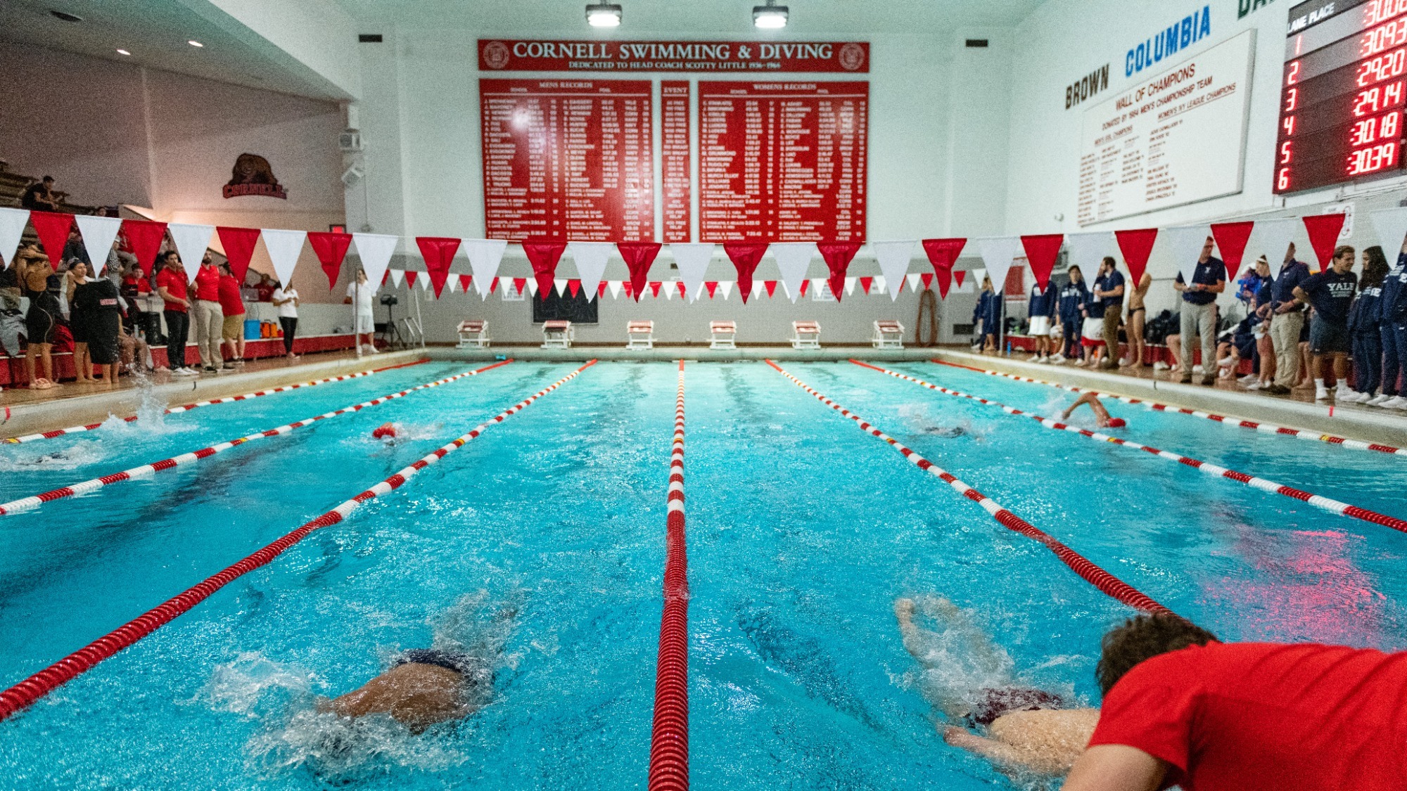 Michael Ross Named The Richard W. Gilbert Diving Coach at Cornell
