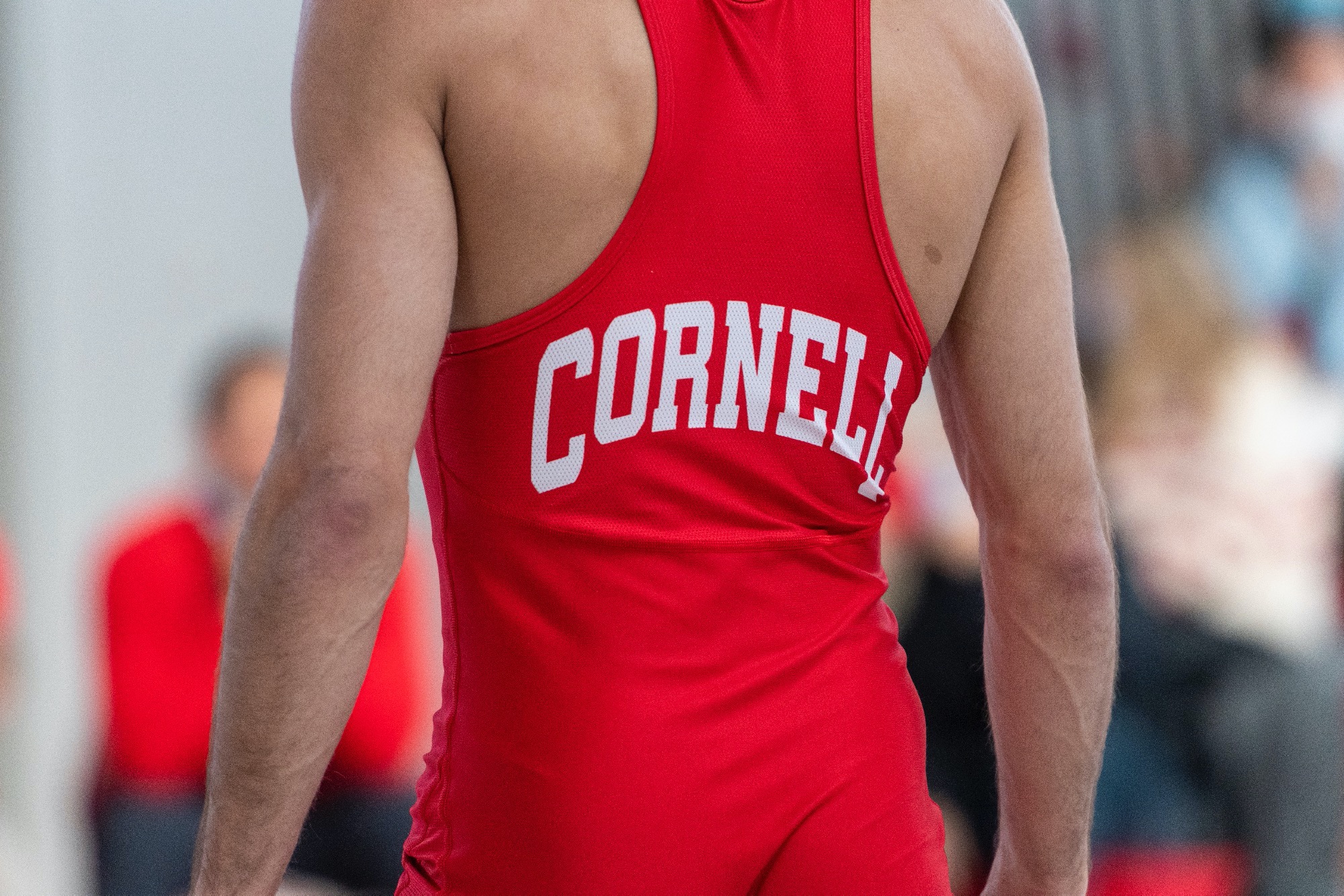 Wrestling Stock Image Singlet
