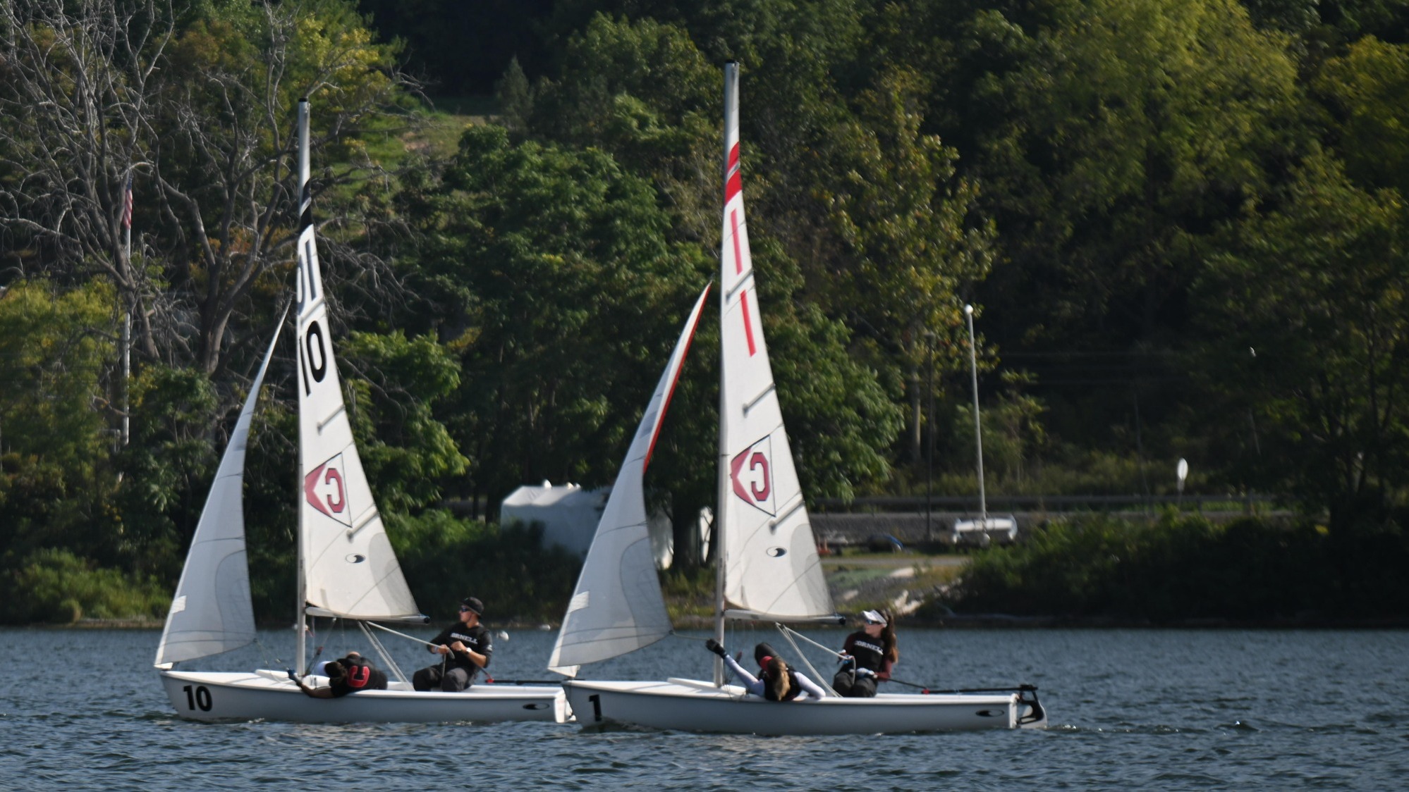 Cornell sailing races on Lake Cayuga.