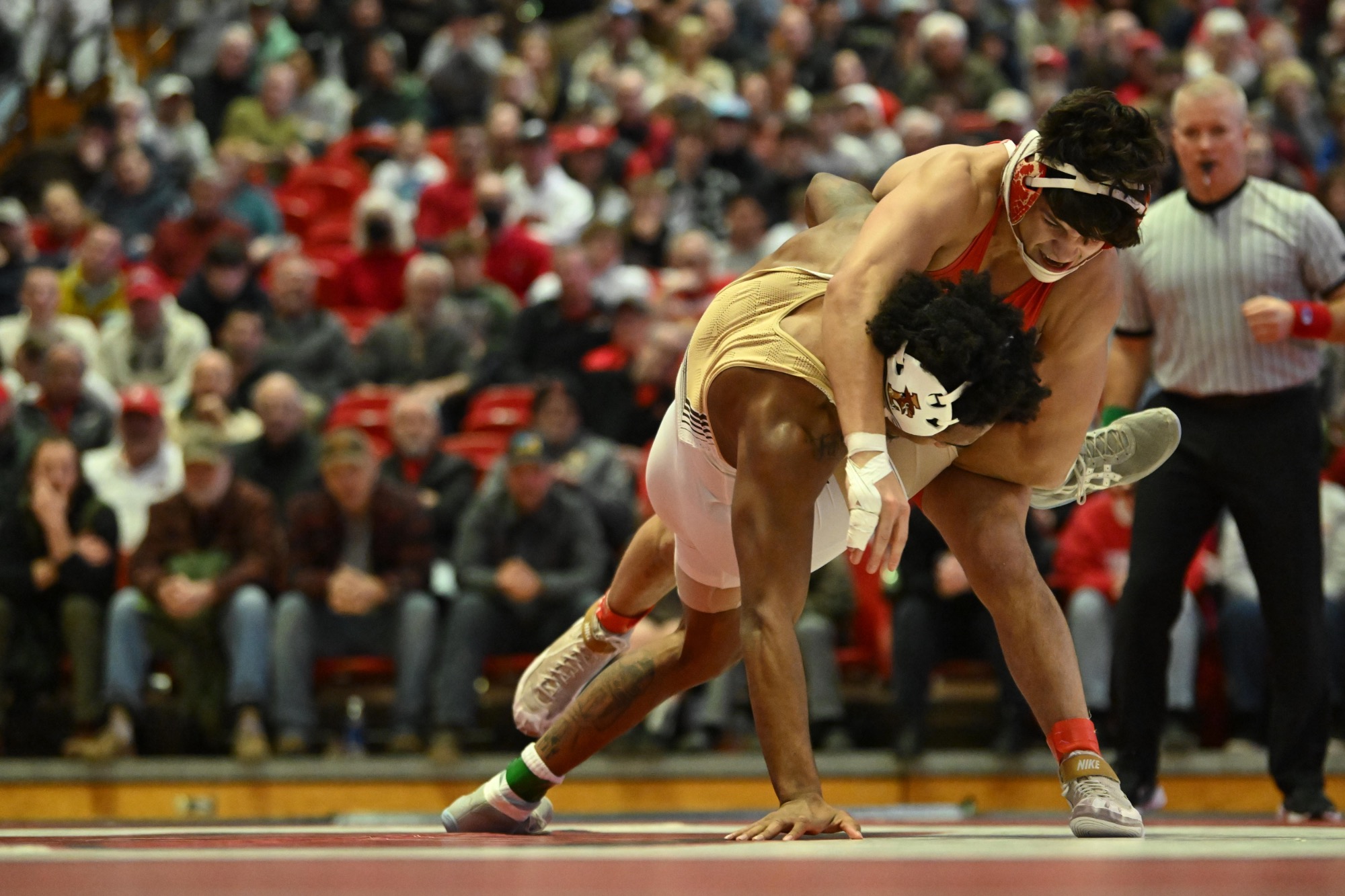 two-cornell-alumni-named-to-the-eiwa-hall-of-fame-class-of-2025