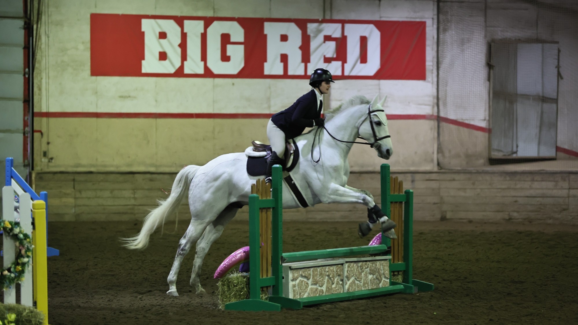 Equestrian Action Shot