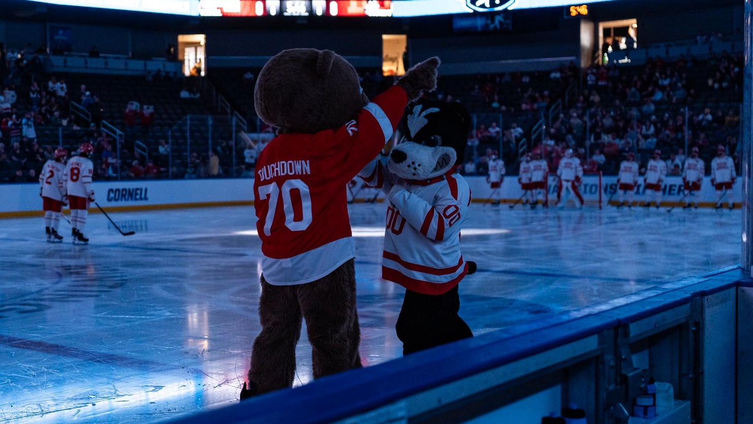 Touchdown the Bear interacts with Boston University's mascot during pregame introductions before the Toledo Regional Final at the Huntington Center in Toledo, Ohio, on March 29, 2025.