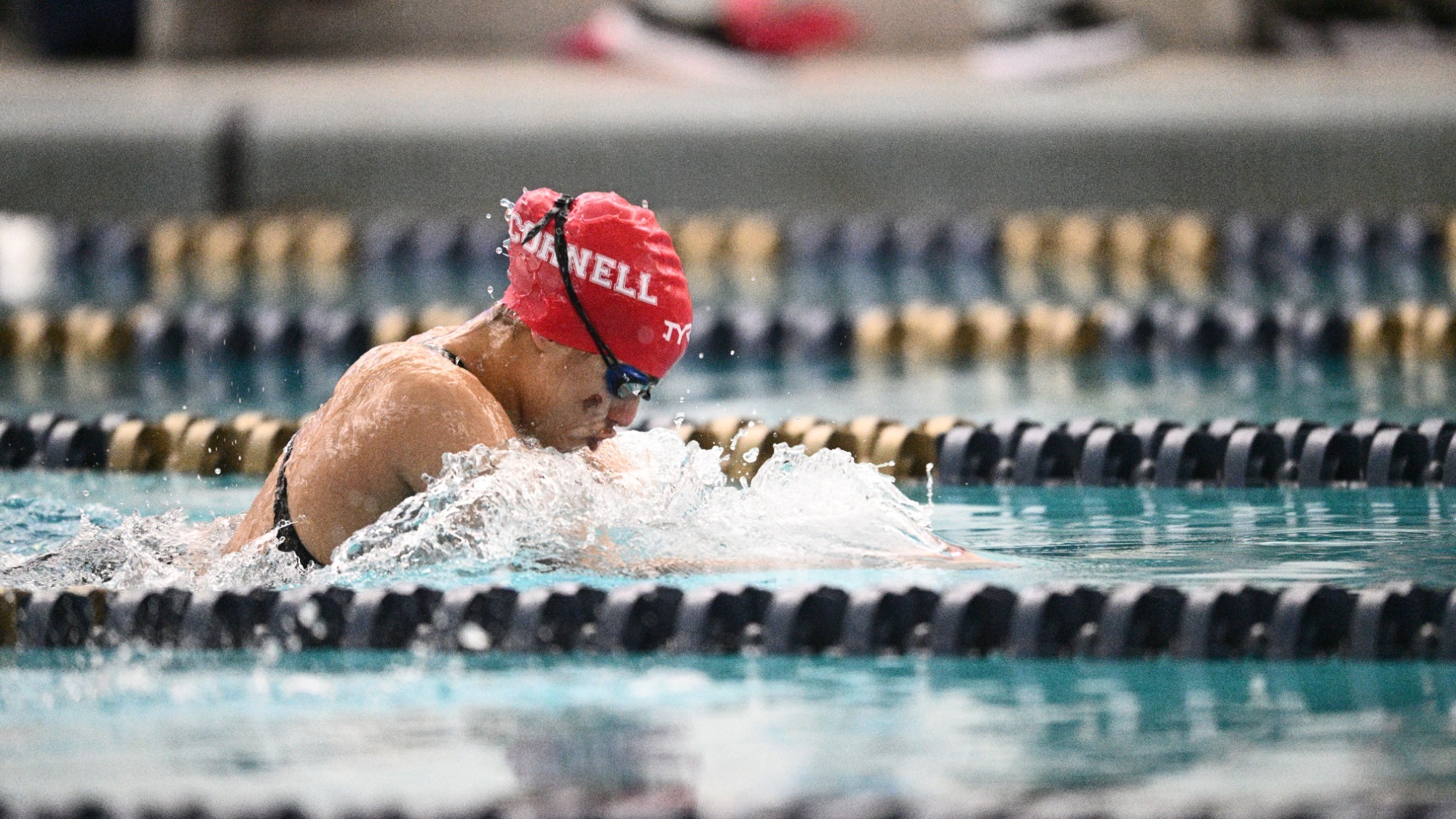 Women's swim and dive competes at Zippy Invite.