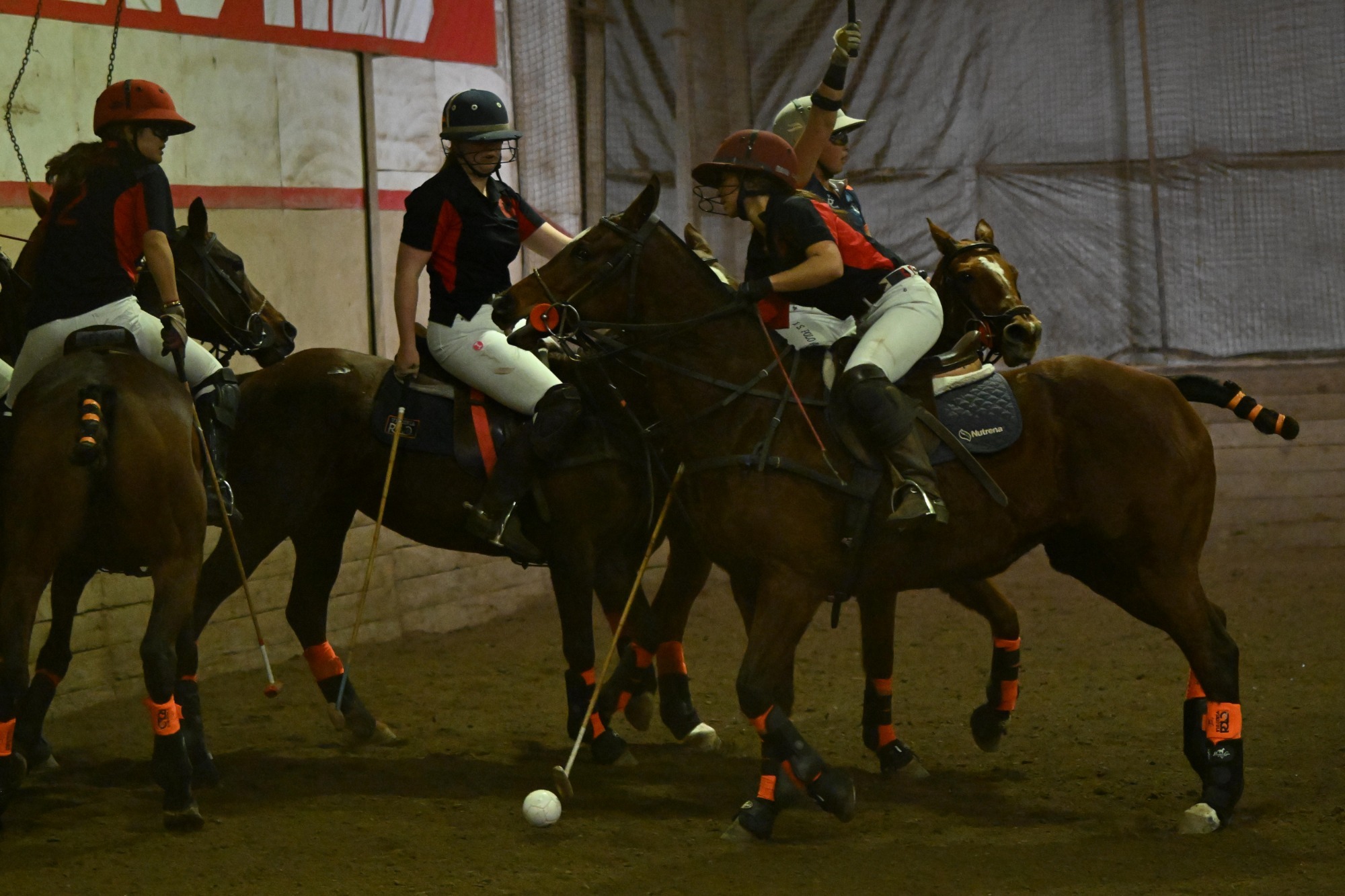 Cornell Women's Polo