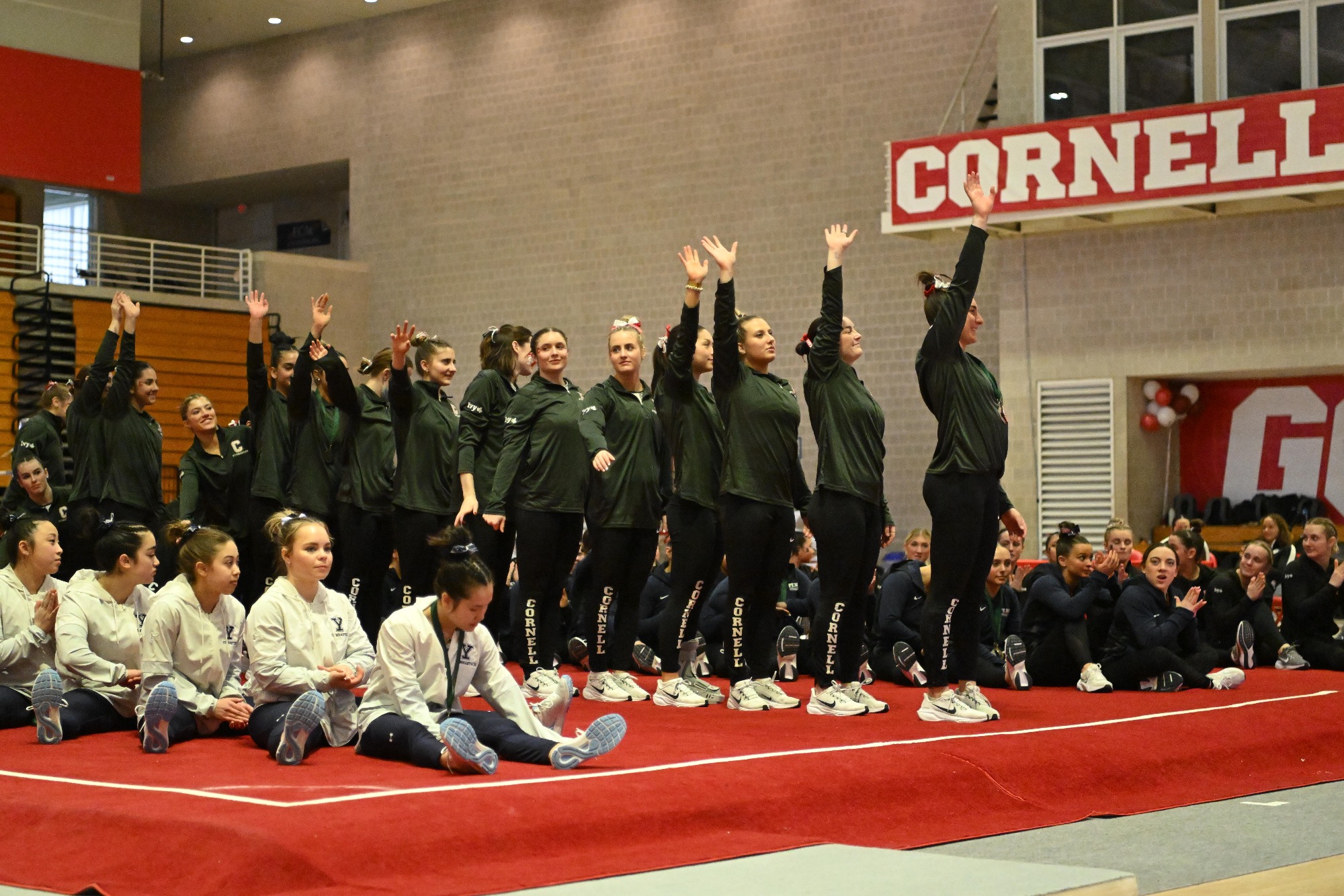 on Feb. 23, 2025 at Newman Arena at Bartels Hall in Ithaca, NY. Cornell Gymnastics host the Ivy Classic . (Caroline Sherman/Cornell Athletics)