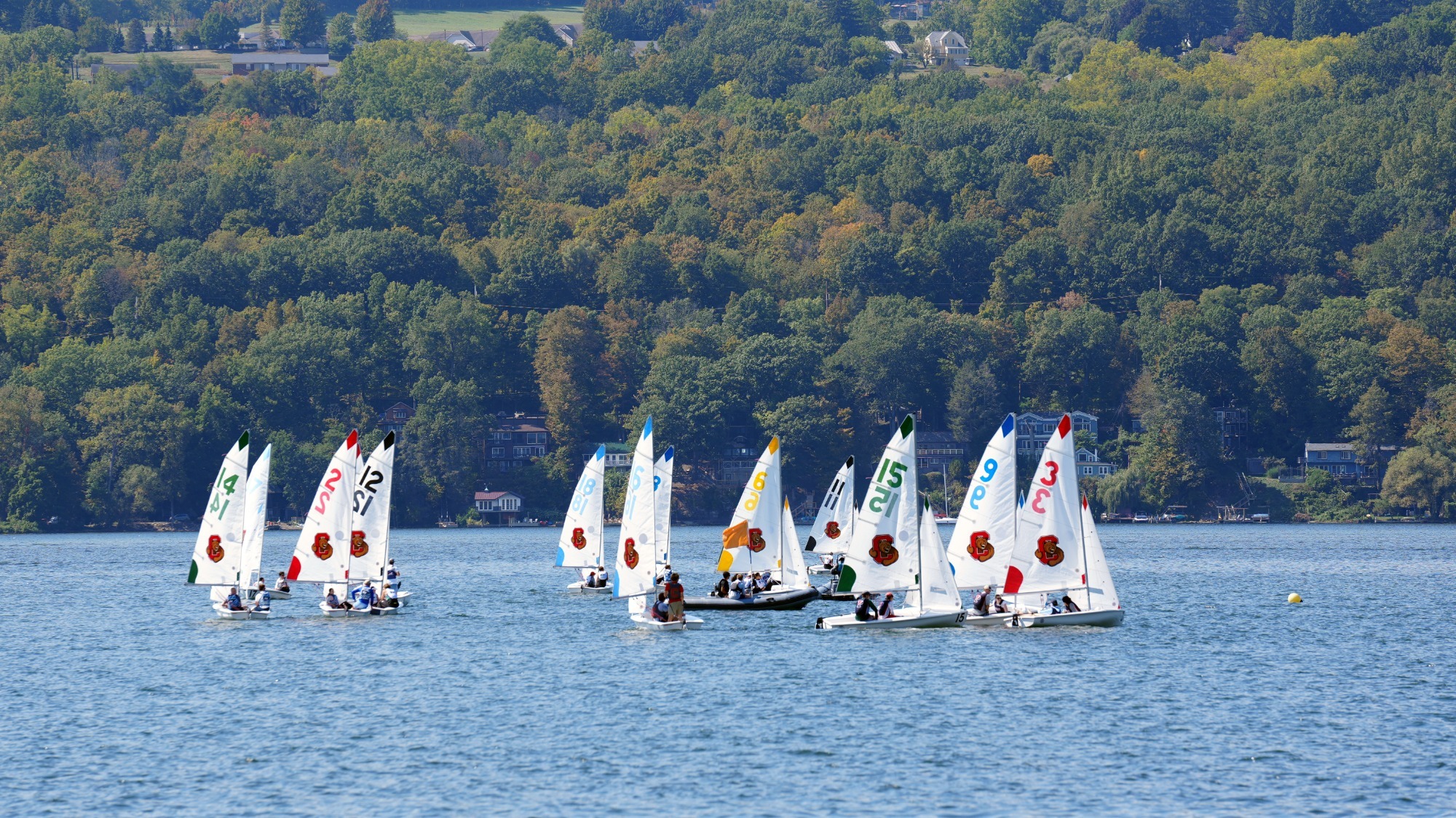 The Cornell sailing team competes on Cayuga Lake on Sept. 14, 2025 in Ithaca, N.Y.