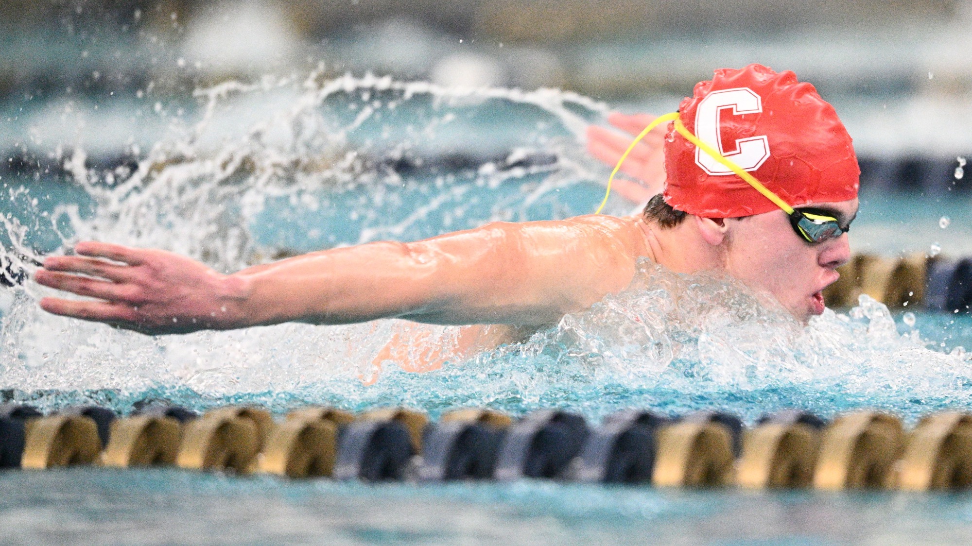 Men's swim and dive competes at the Zippy Invite.