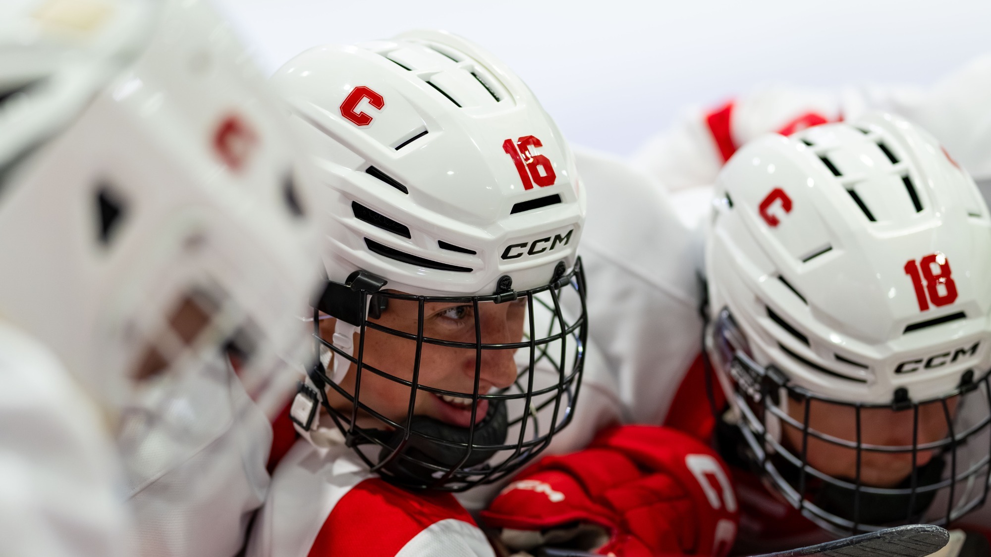 Women's ice hockey huddles at Lynah Rink.