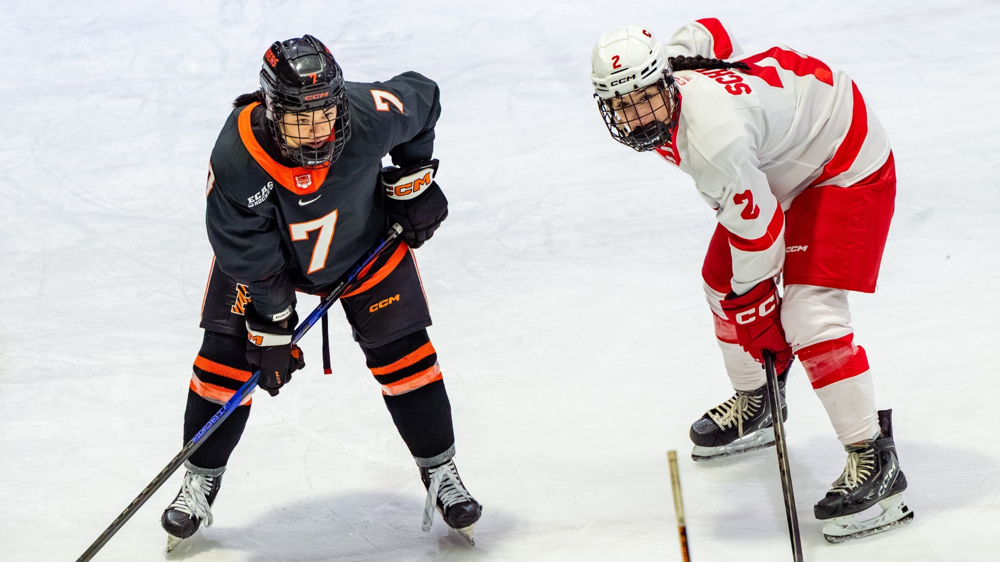 Schiff during a faceoff with Princeton at Lynah Rink.