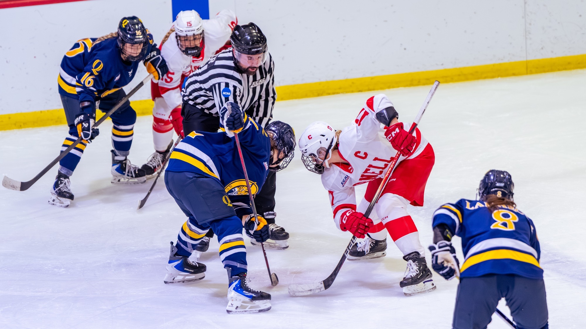 Mckenna Van Gelder takes a faceoff against Quinnipiac at Lynah Rink.