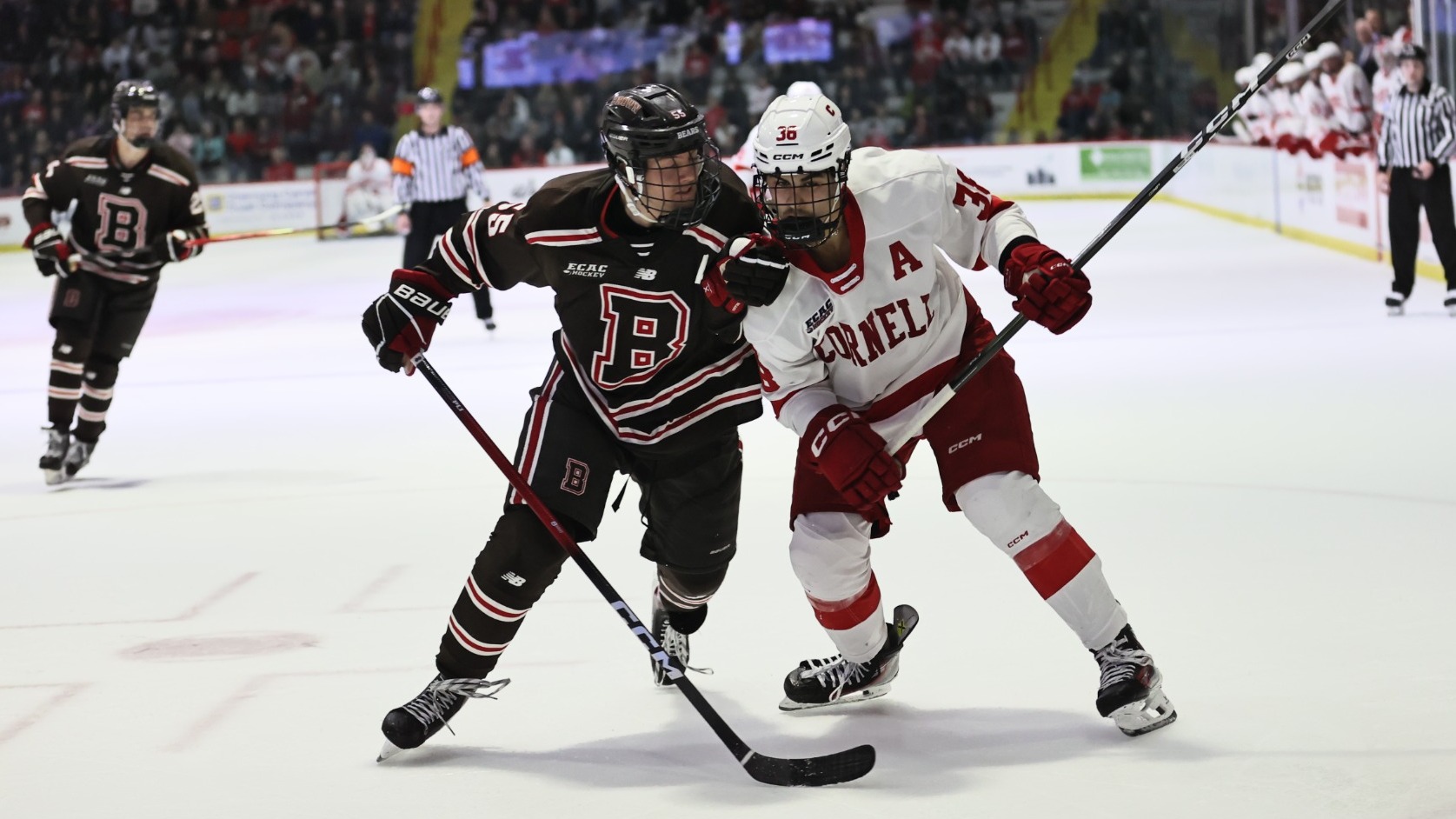 Cornell men's hockey junior forward Jonathan Castagna battles with Brown's Brian Nicholas during game action at Lynah Rink in Ithaca, N.Y., on Nov. 14, 2025.
