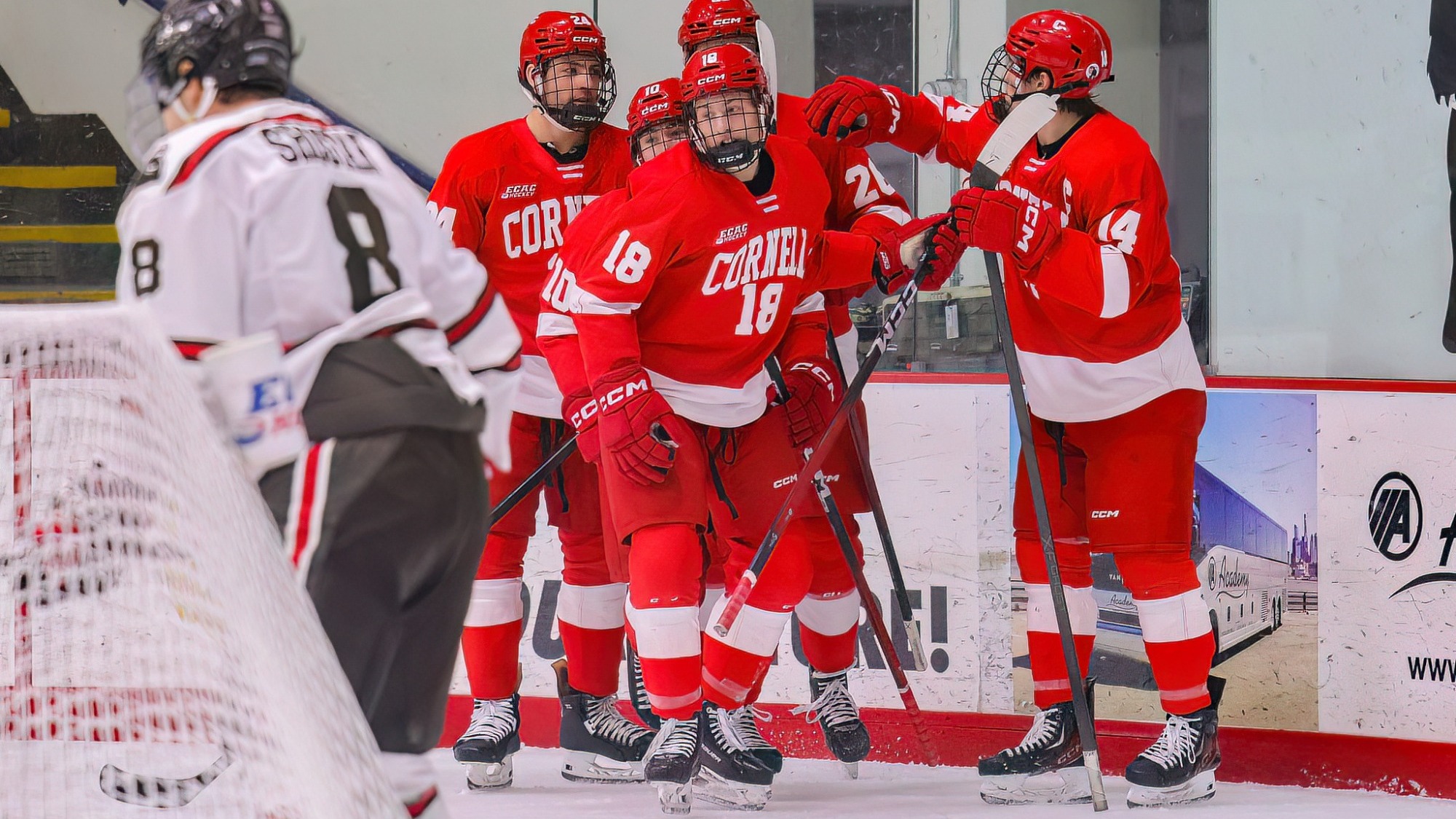 Cornell men's hockey freshman forward Gio DiGiulian celebrates with teammates after scoring against Brown at Meehan Auditorium in Providence, R.I., on Jan. 31, 2026.