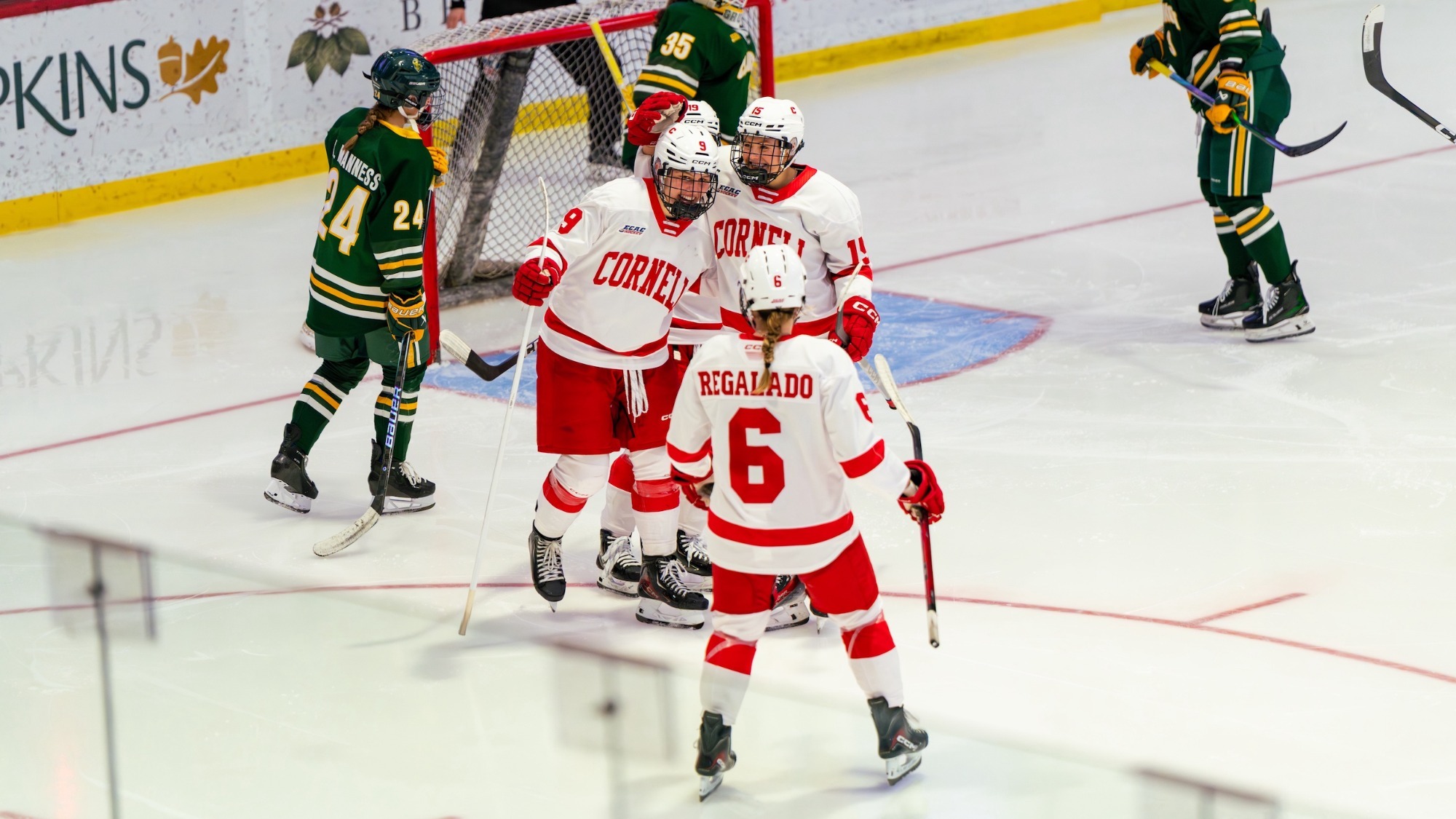 Cornell celebrates a goal against Clarkson at Lynah Rink.